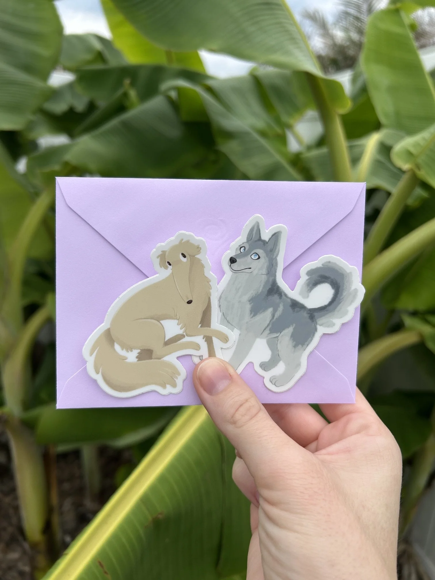 Sticker Club