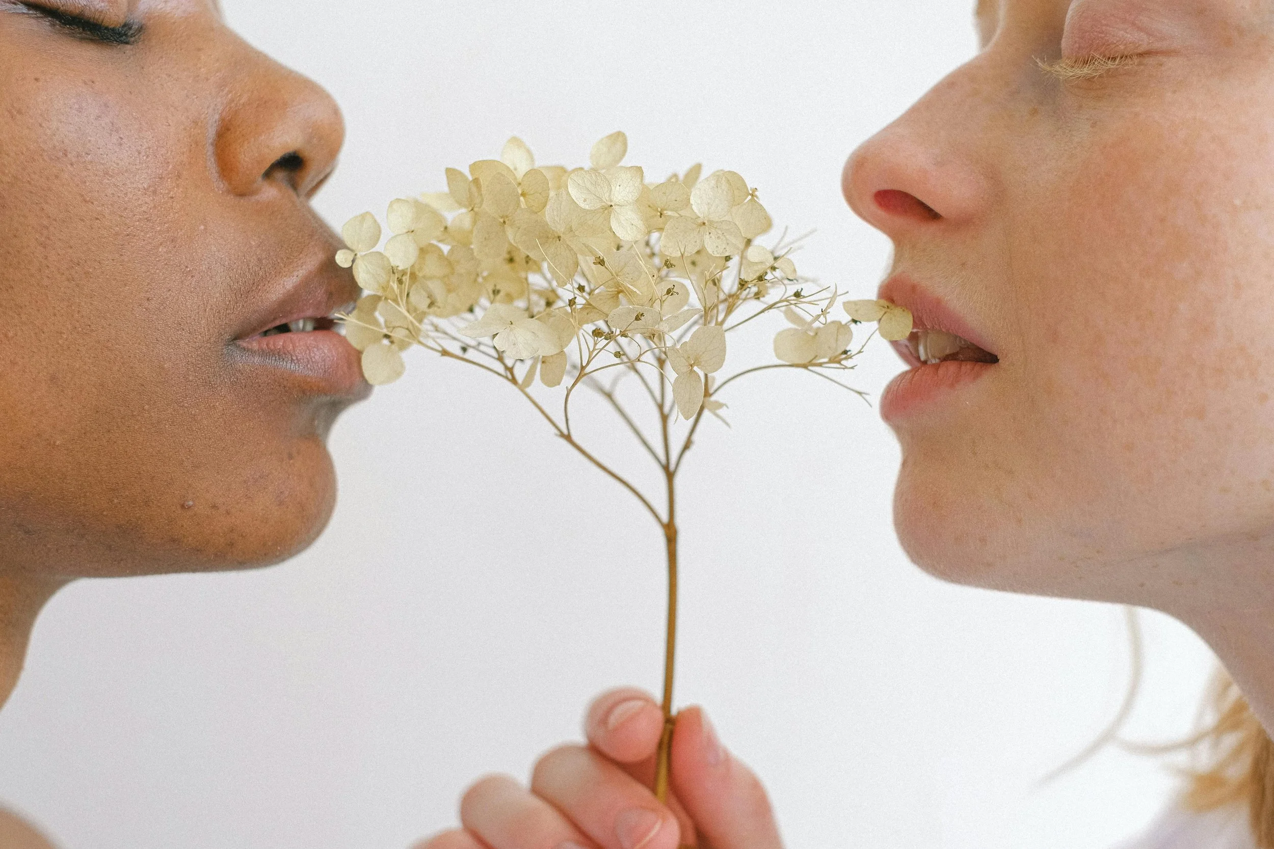 Two women face each other, holding a dried flower between their mouths.