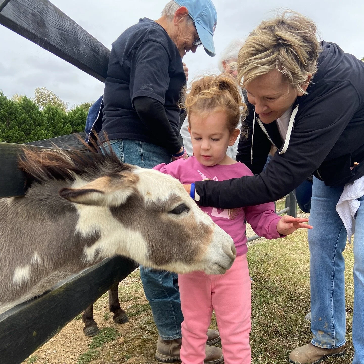 Sometimes all you need is a little love from Lemonade 🍋🩷