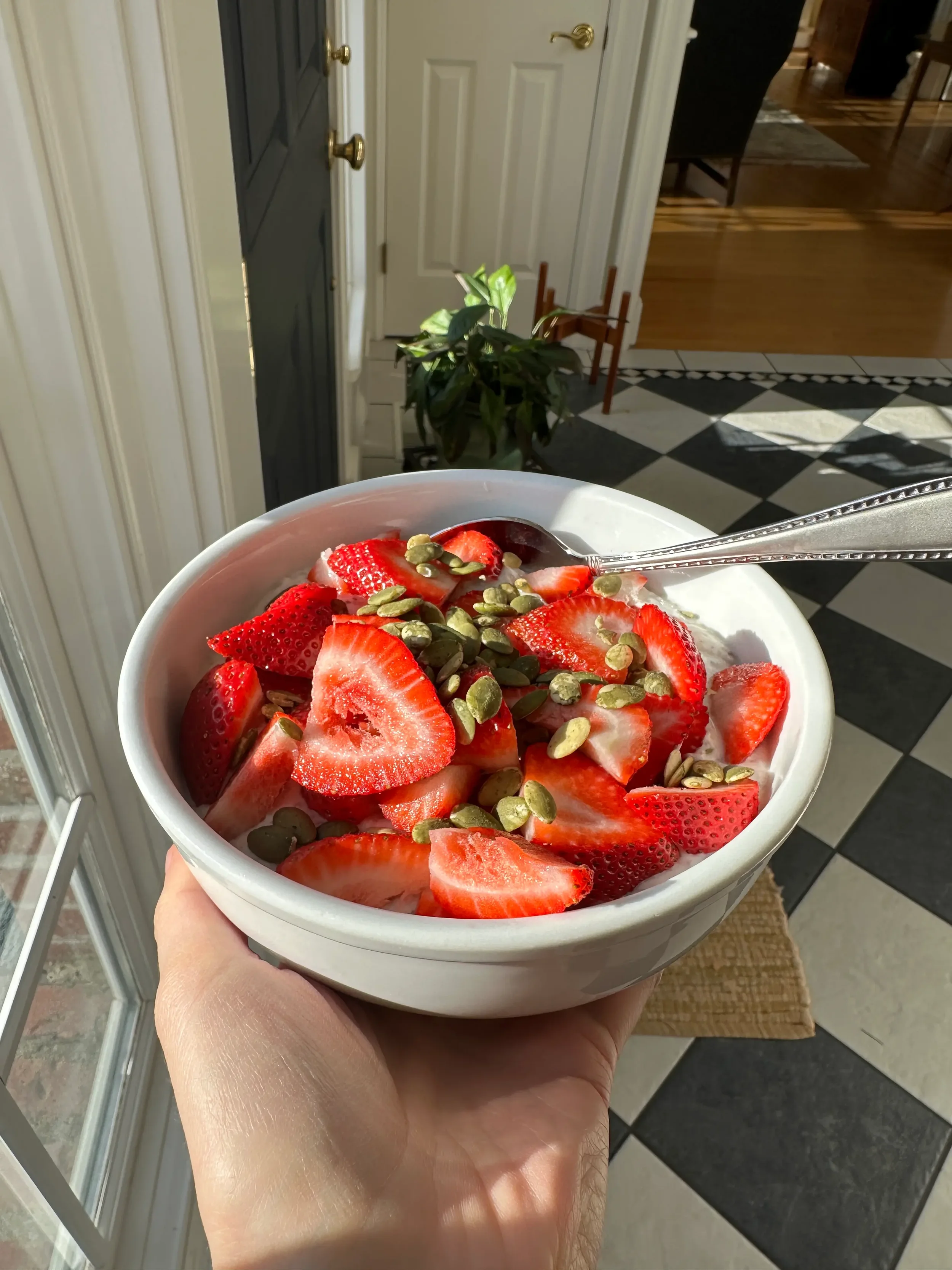 A nutrient-dense breakfast bowl with fresh strawberries and pumpkin seeds in a sunlit kitchen, representing the whole-food nutrition protocols at Holistus Health.