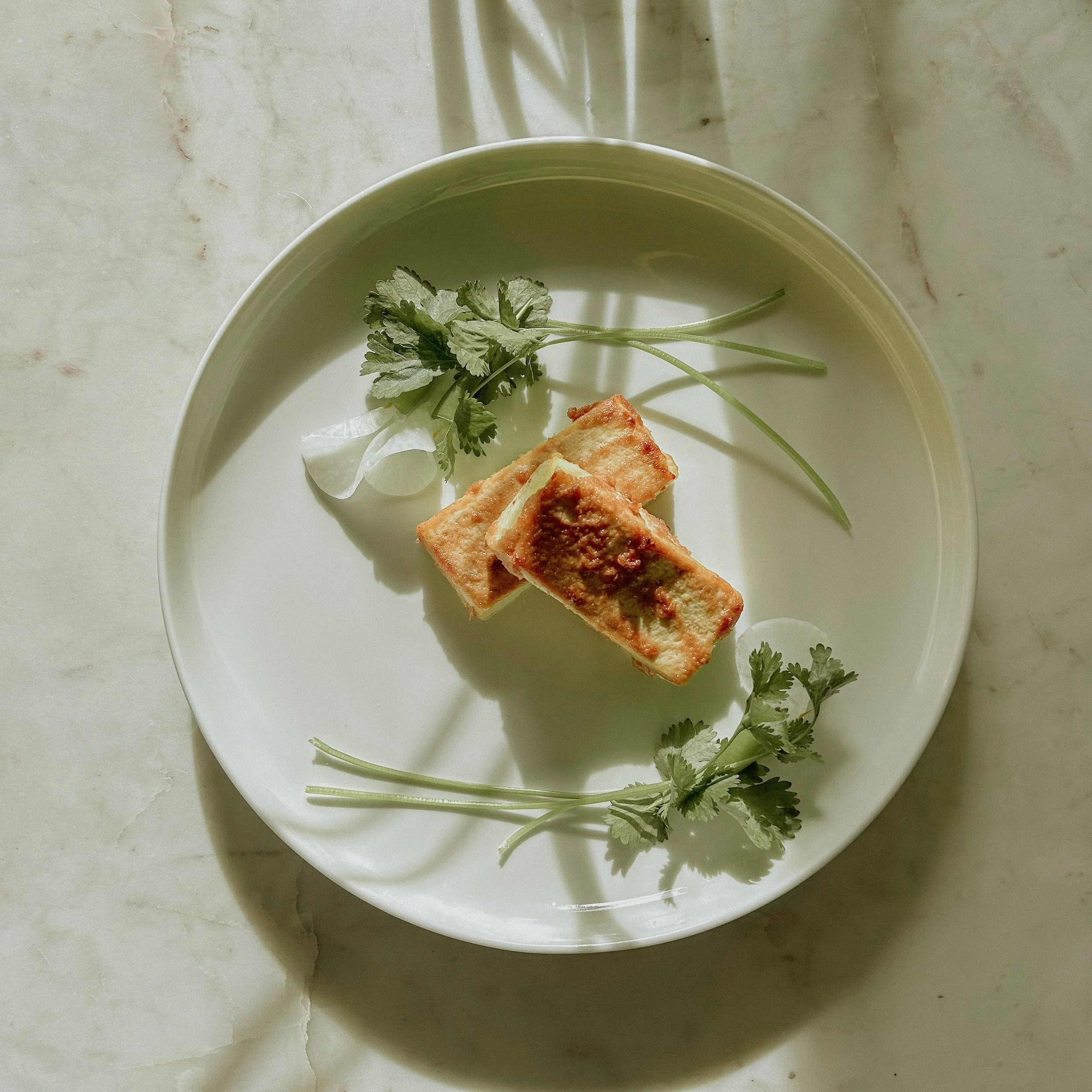 Plate with two pieces of grilled tofu garnished with cilantro and green onions.