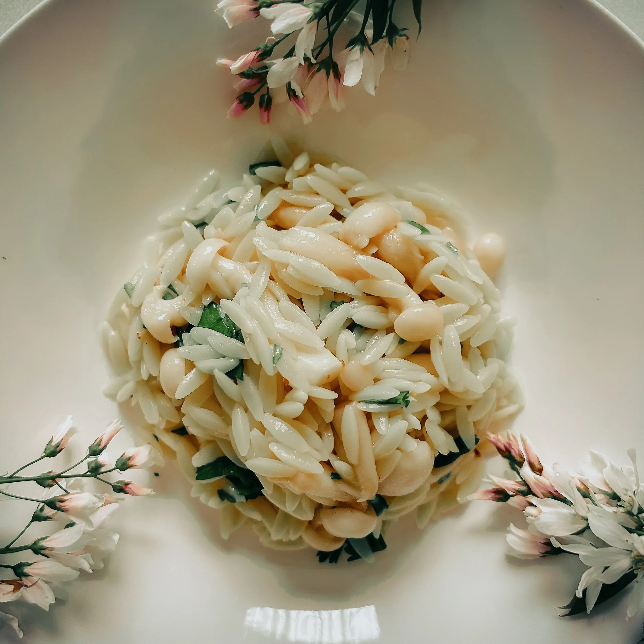 A nutritious plant-based fusion dish Miso Orzo, Shimeji mushroom, Sichuan Peppercorn and Parsley dish crafted by Sacred Nourish in London