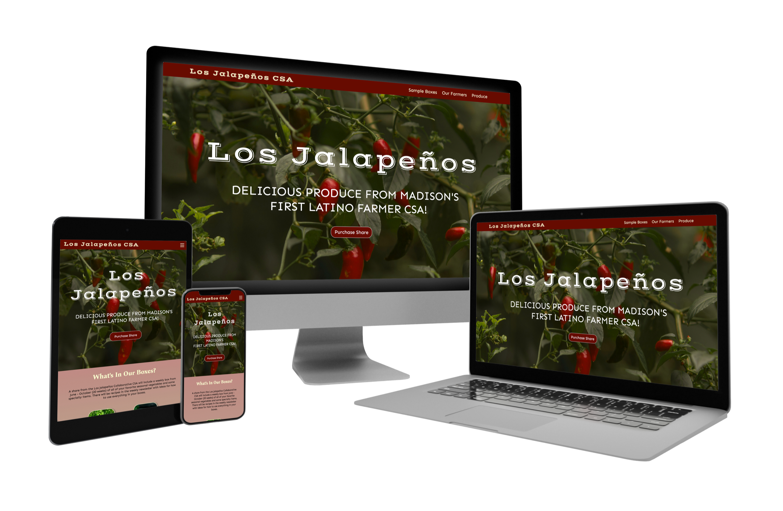 Responsive website displayed on various devices: desktop, laptop, tablet, and smartphone. The website features a banner with red chili peppers on green plants and the text 'Los Jalapeños' in white. Additional text reads 'Delicious produce from Madison's first Latino farmer CSA' and a red button labeled 'Purchase Share.'