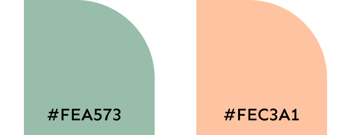 Image of two semicircles with hex color codes #FEA573 and #FEC3A1.