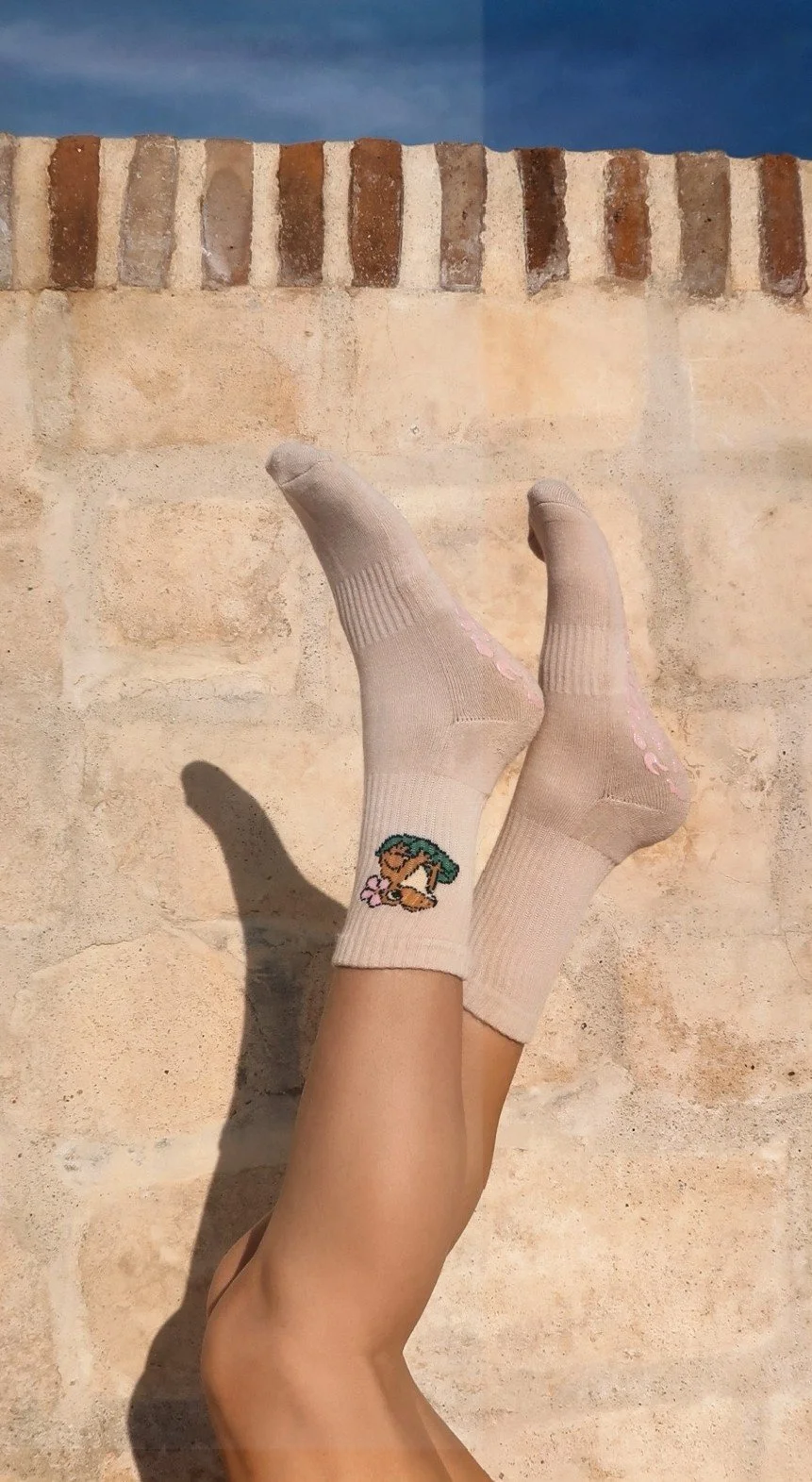 website coqui sock 1.jpg