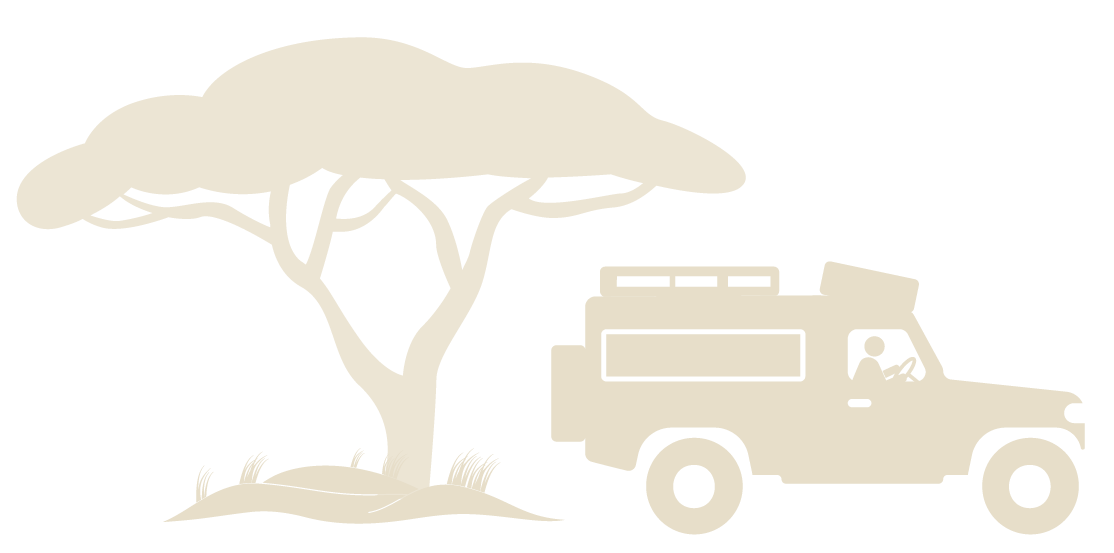 Voyager sur pistes à bord d'un Land Rover Defender