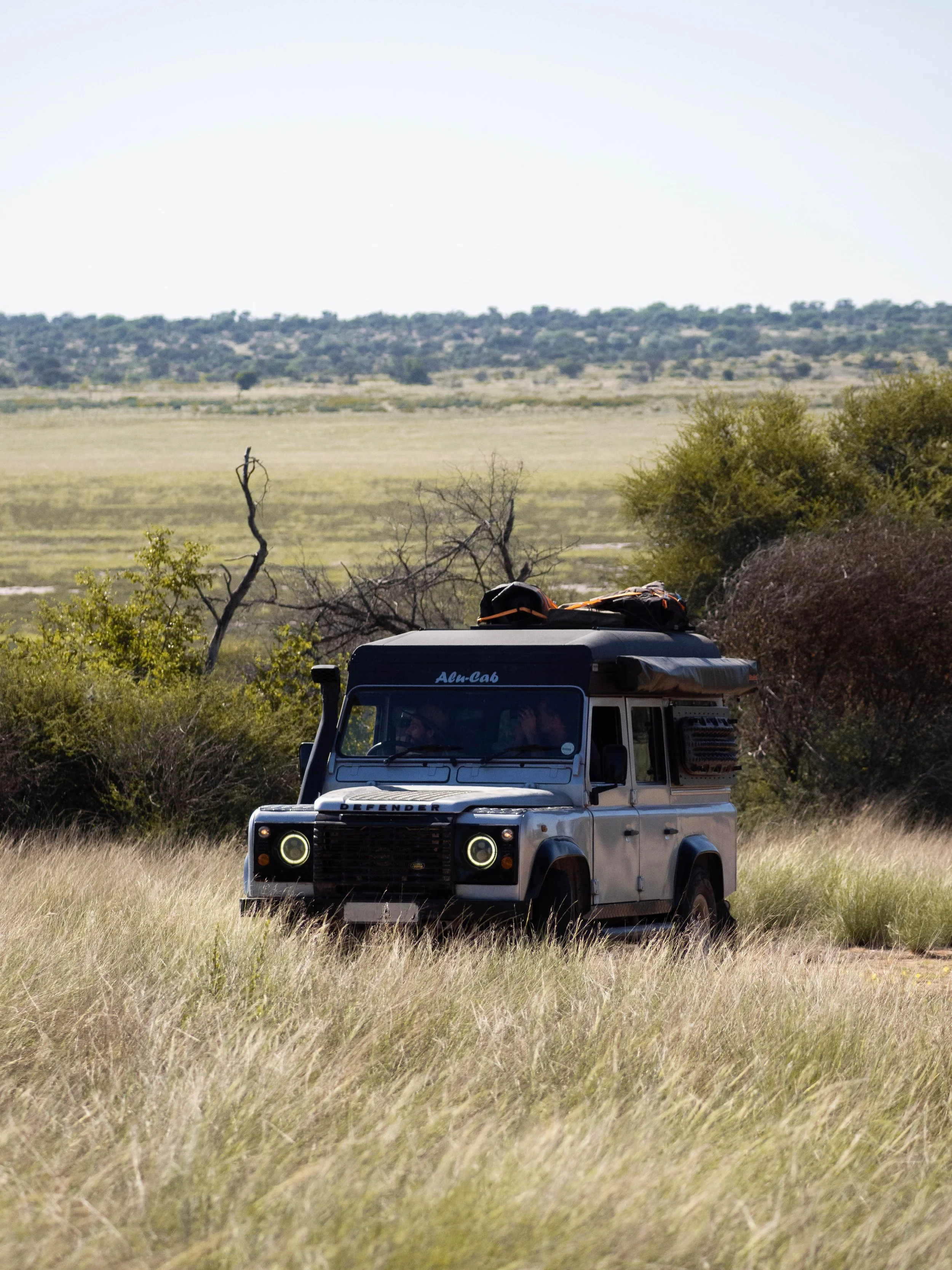 Rafar, votre Defender, en pleine brousse