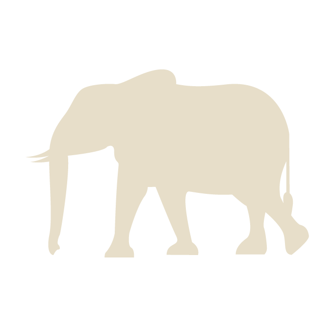 Voyage en terre sauvage, au plus près de la nature