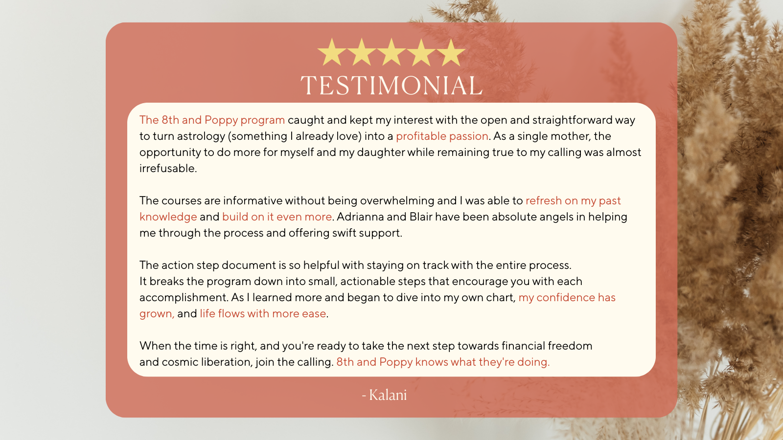 A testimonial card with a pink background overlaying a blurred natural, dried plant background. The card has five gold stars at the top, the word 'TESTIMONIAL' underneath, followed by a quote praising a program called '8th and Poppy', and concludes w