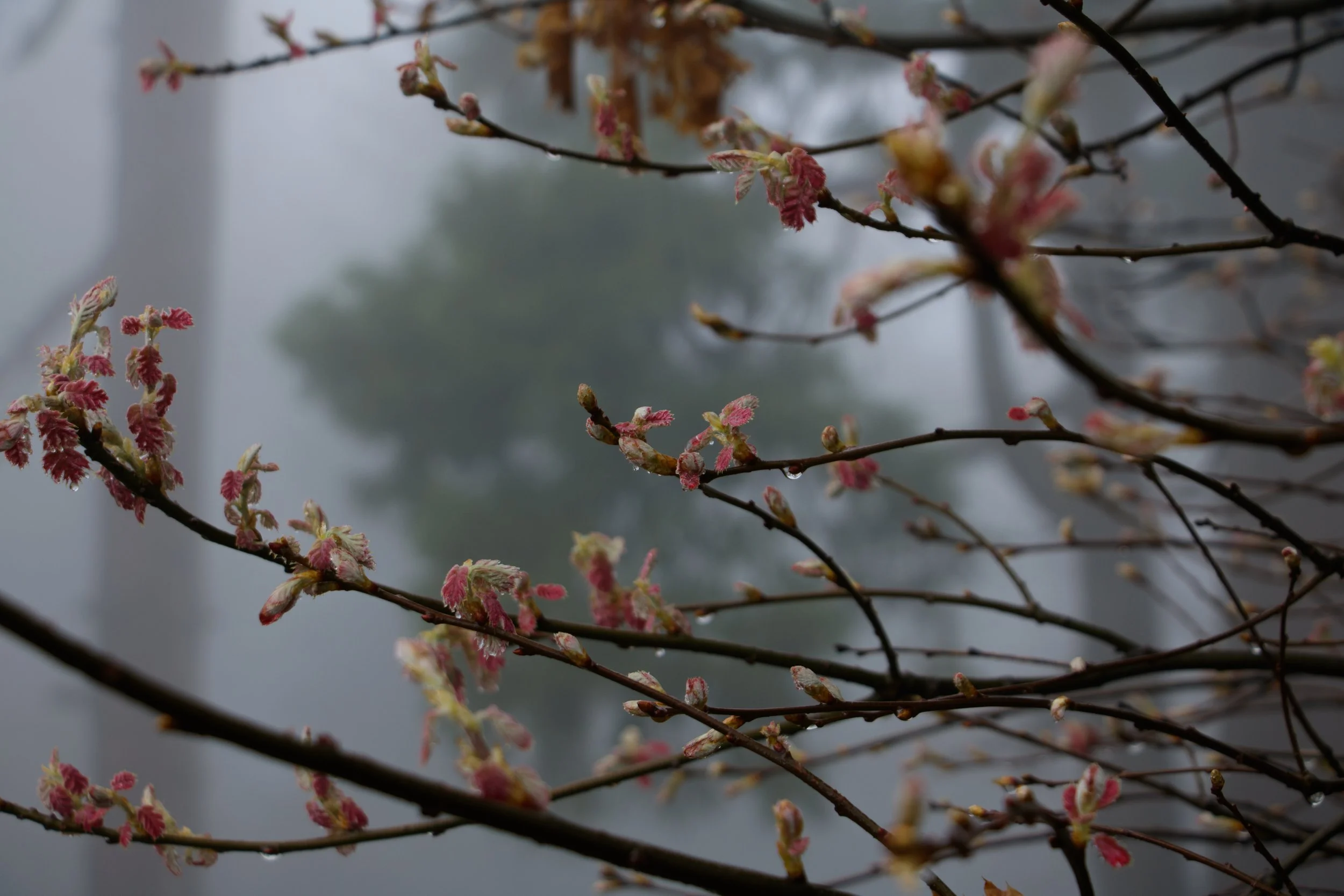 Targett_Liv_SilentHillVibes-13.jpg
