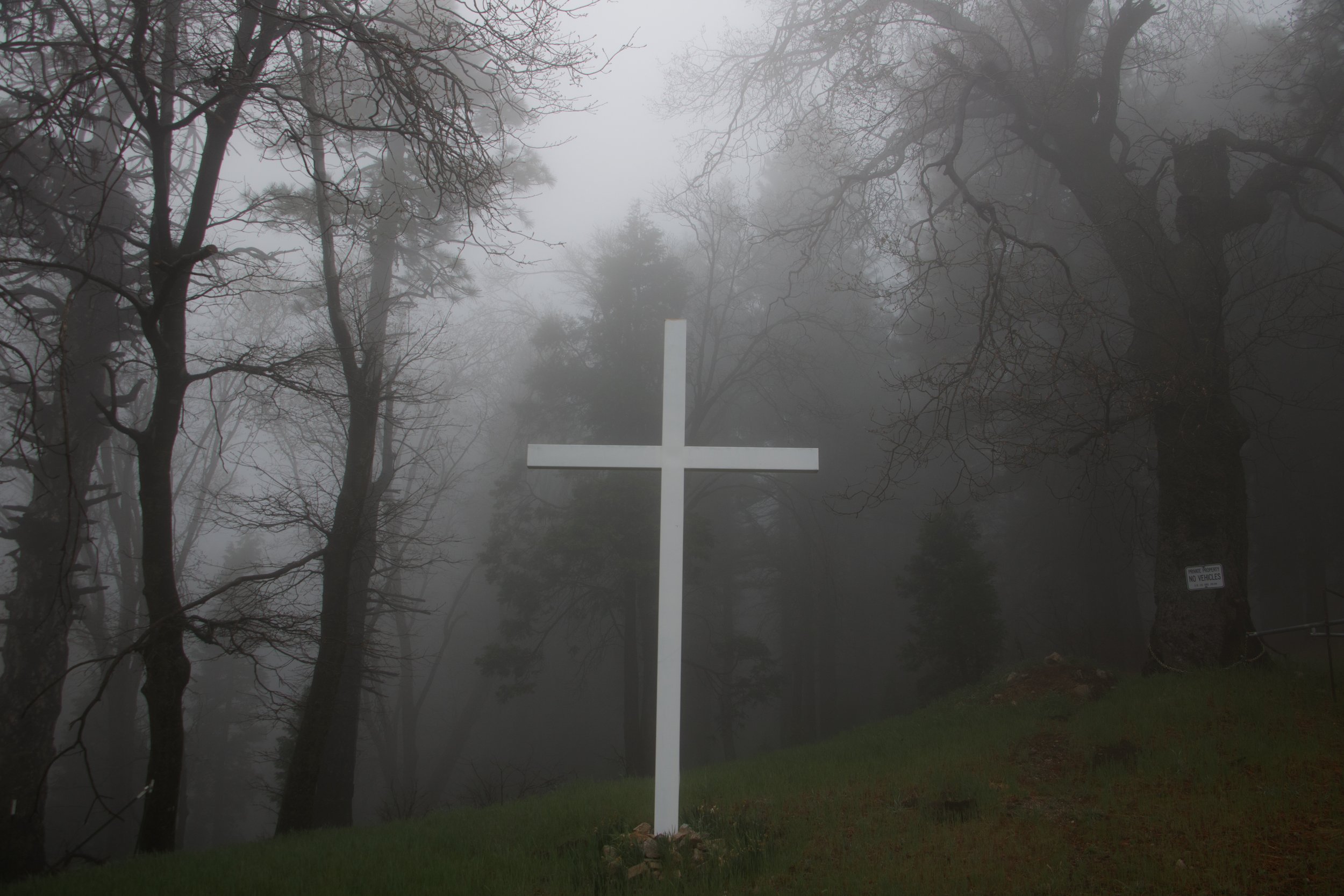 Targett_Liv_SilentHillVibes-1.jpg