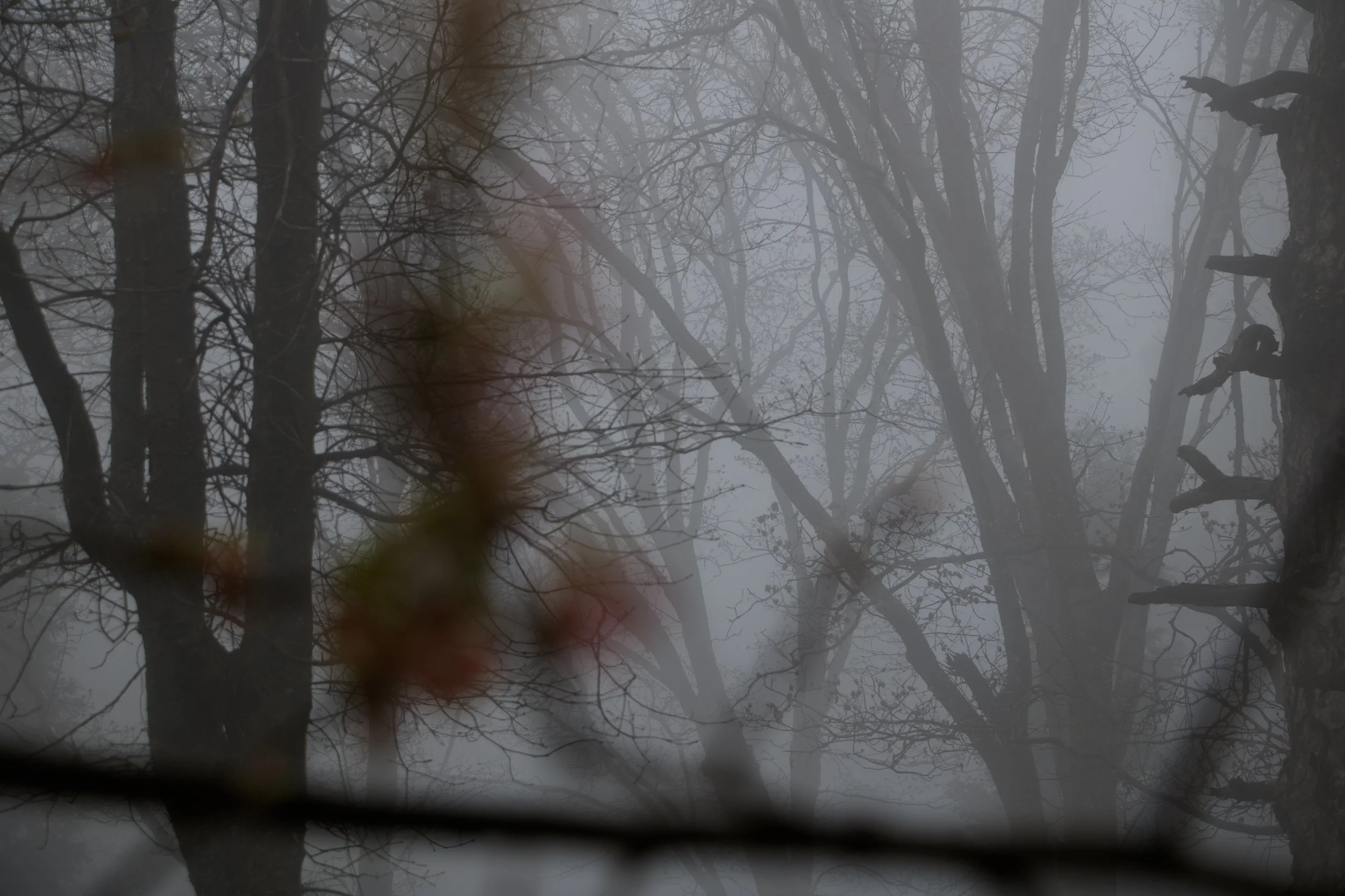 Targett_Liv_SilentHillVibes-10.jpg
