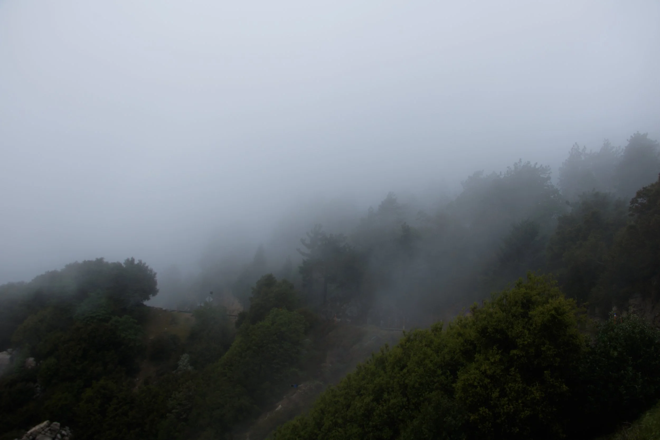 Targett_Liv_SilentHillVibes-15.jpg