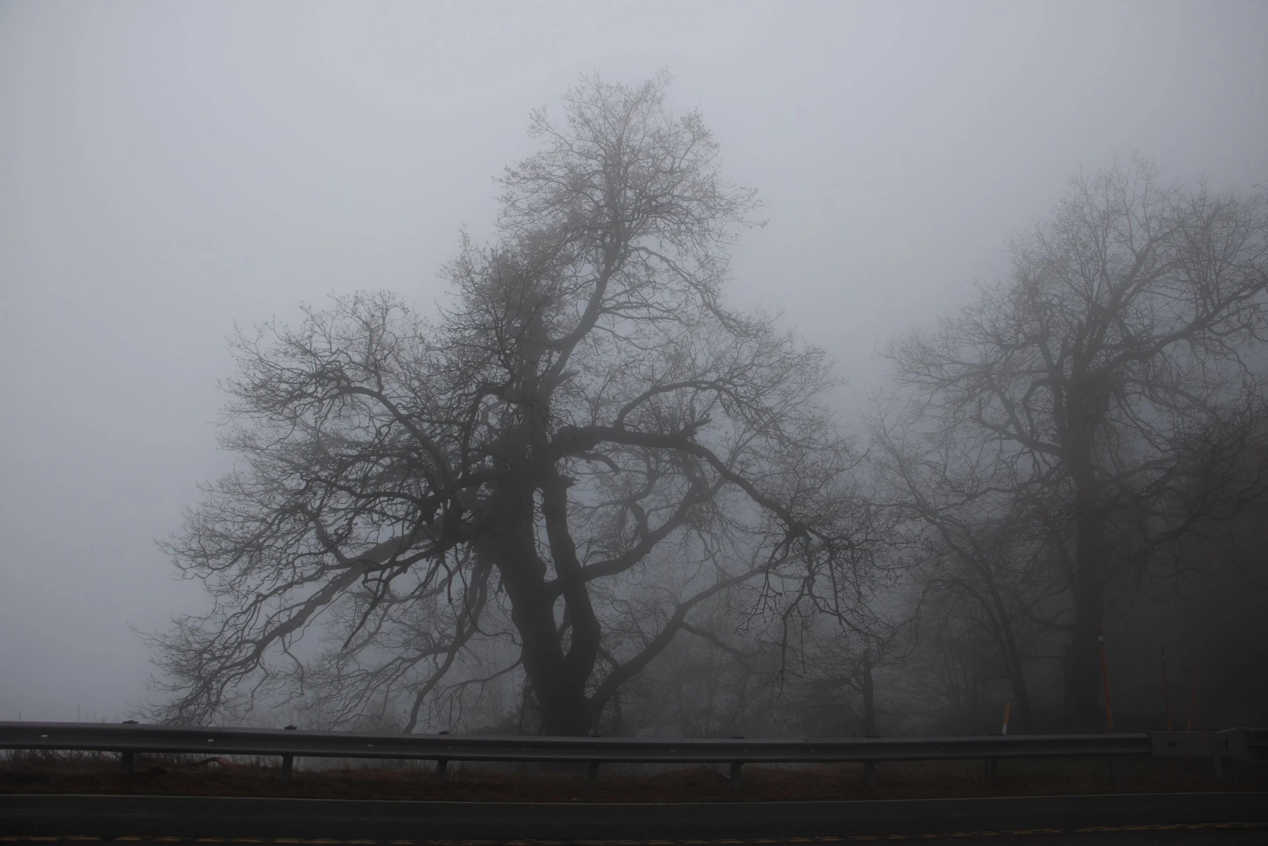 Targett_Liv_SilentHillVibes-9.jpg