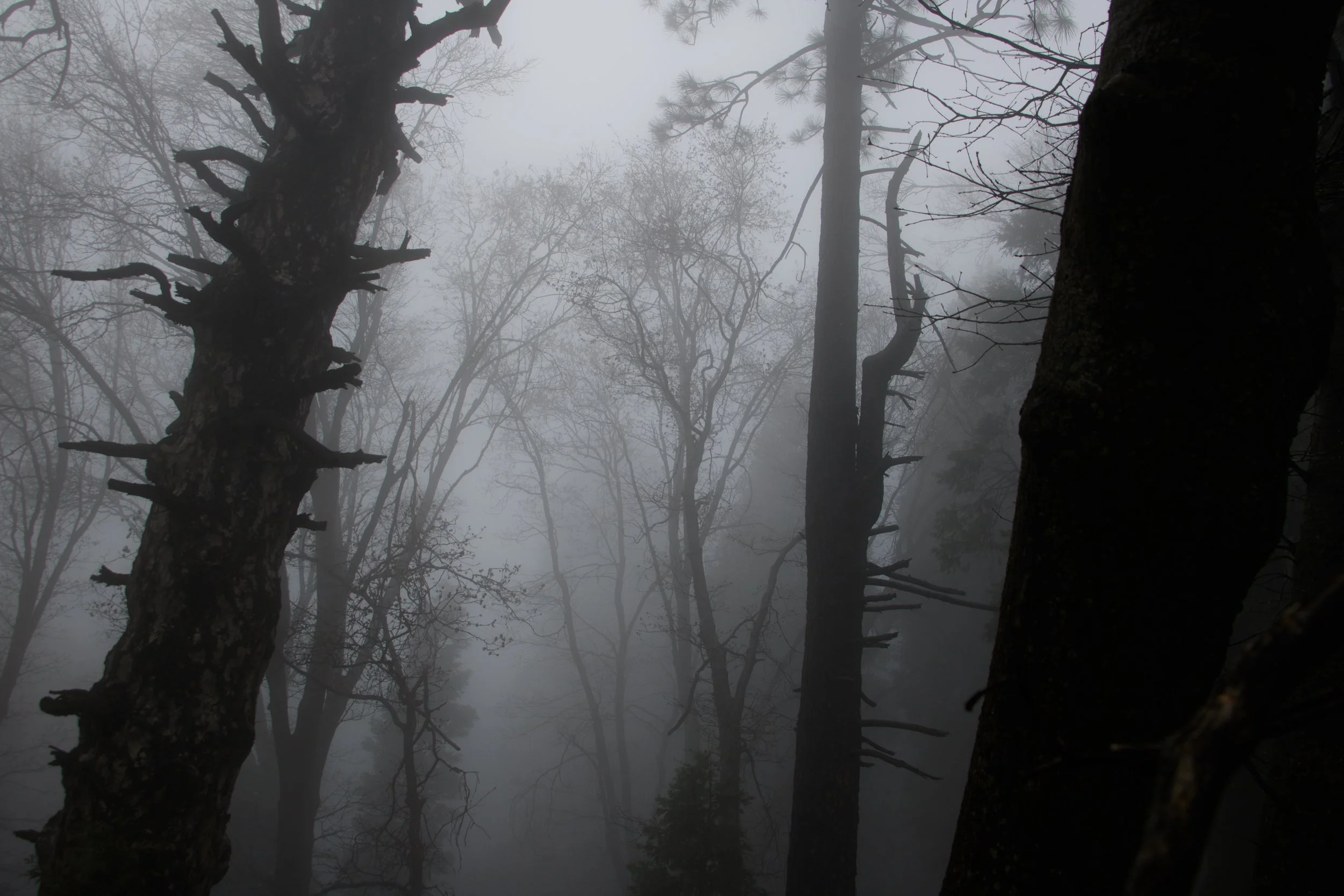 Targett_Liv_SilentHillVibes-14.jpg