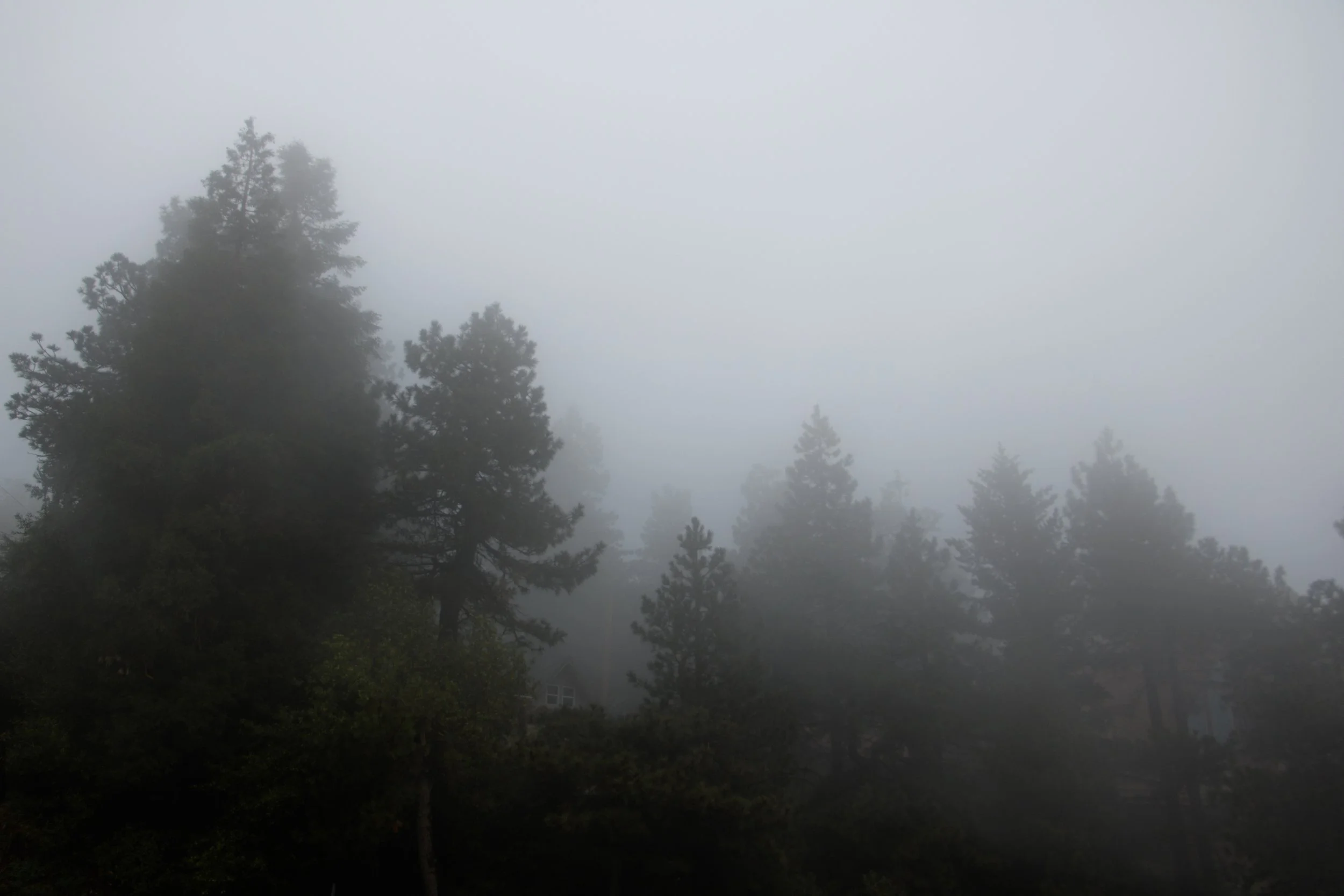 Targett_Liv_SilentHillVibes-16.jpg