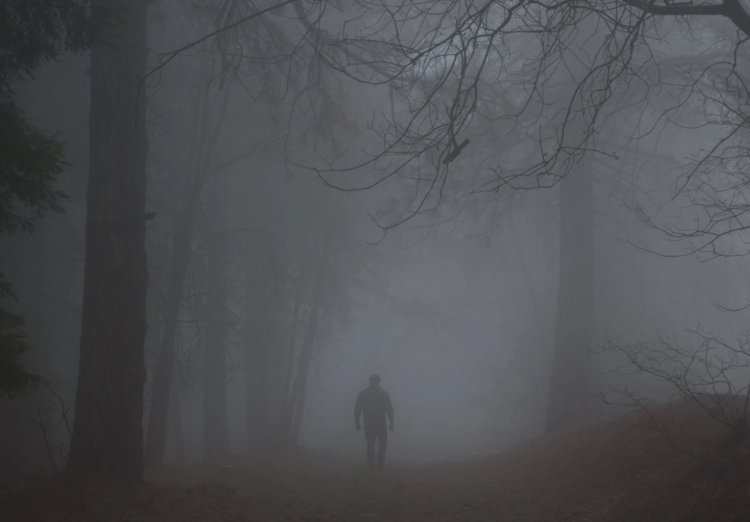Targett_Liv_SilentHillVibes-4.jpg