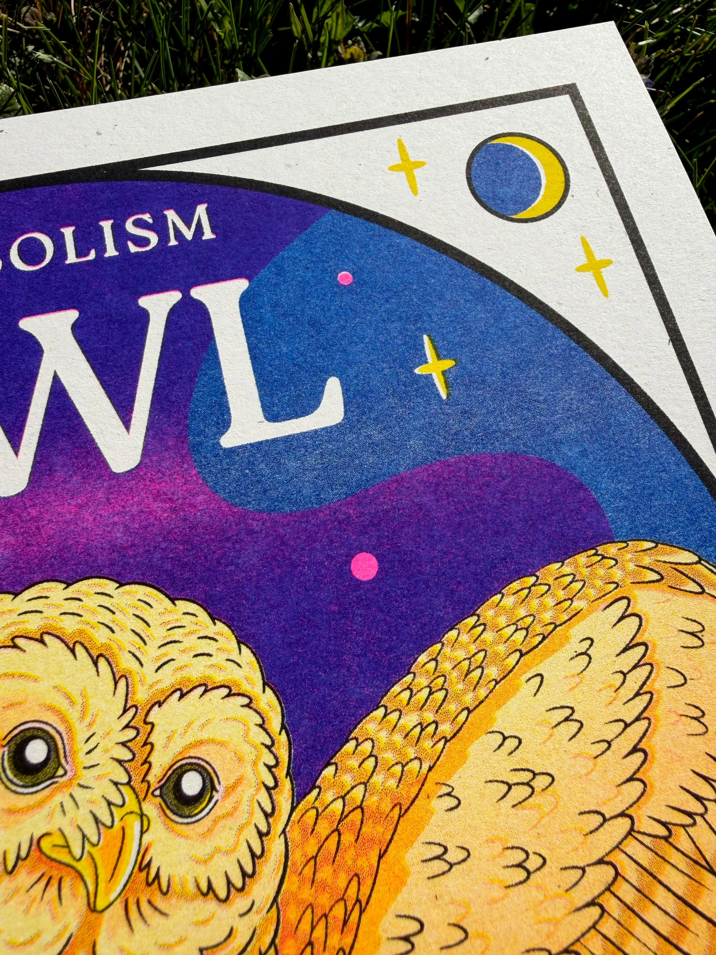 OWL_DETAIL_3.jpg