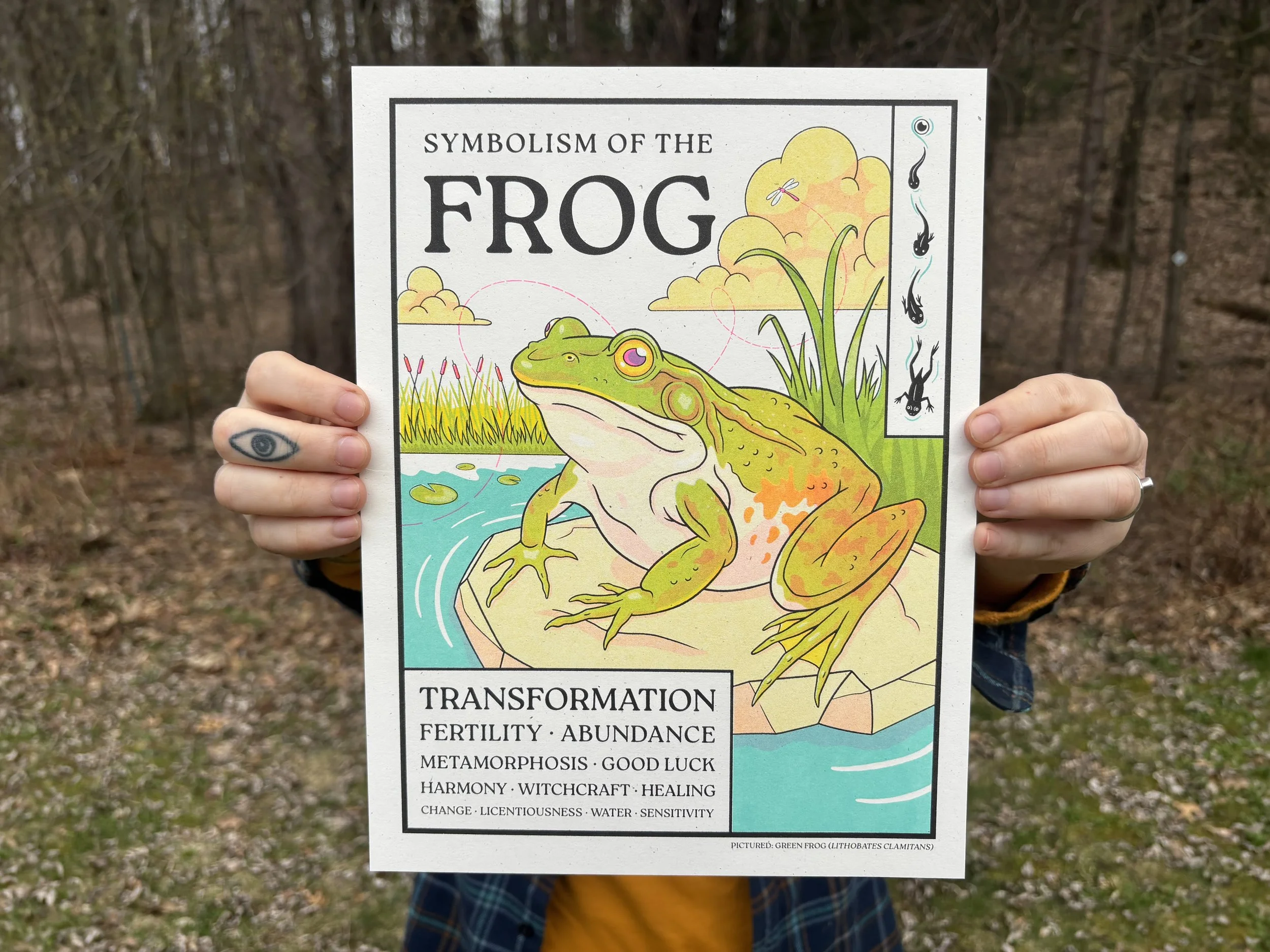 Symbolism of the Frog [POSTER]