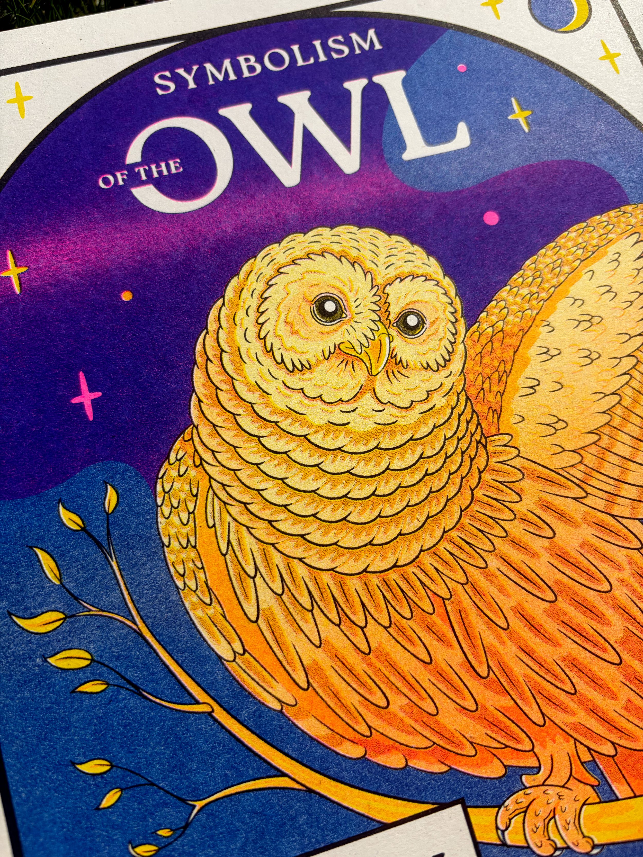 OWL_DETAIL_1.jpg
