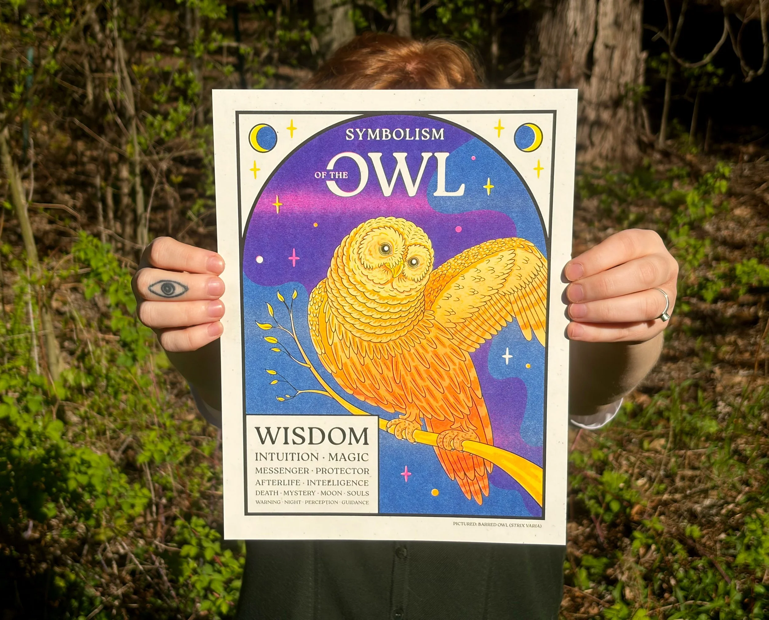 OWL_HORIZONTAL.jpg