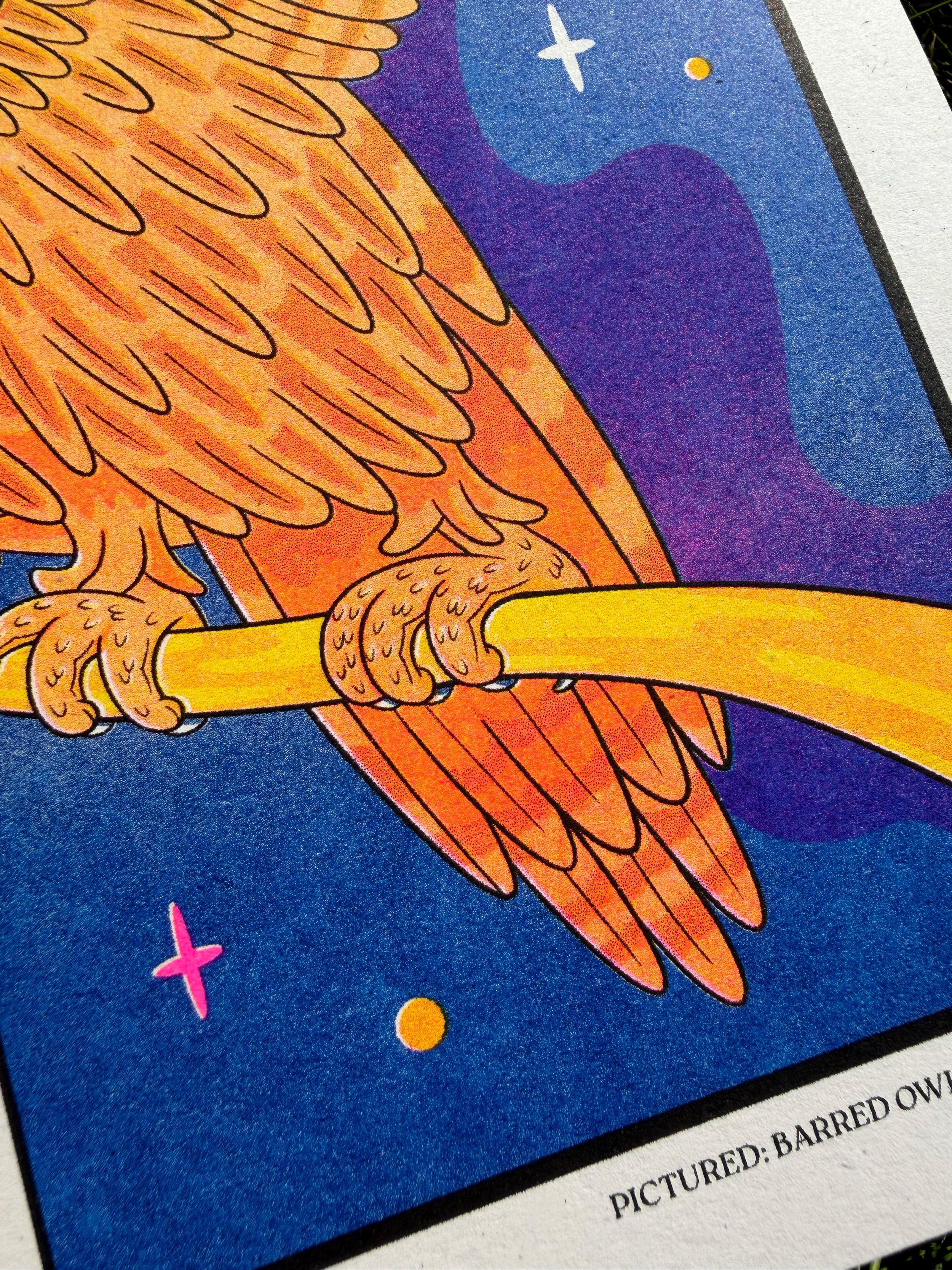 OWL_DETAIL_2.jpg