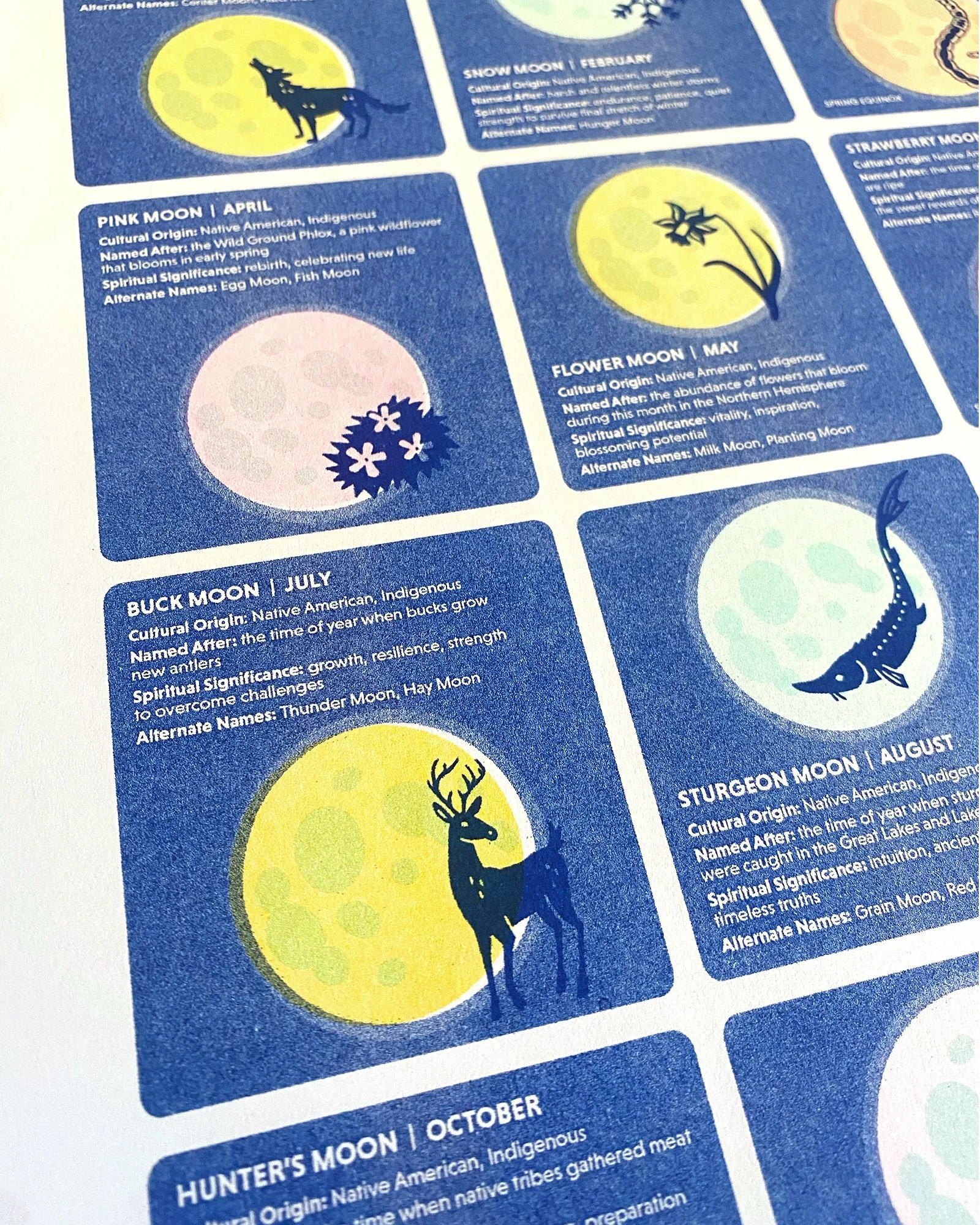 Moon_detail_images4.jpg