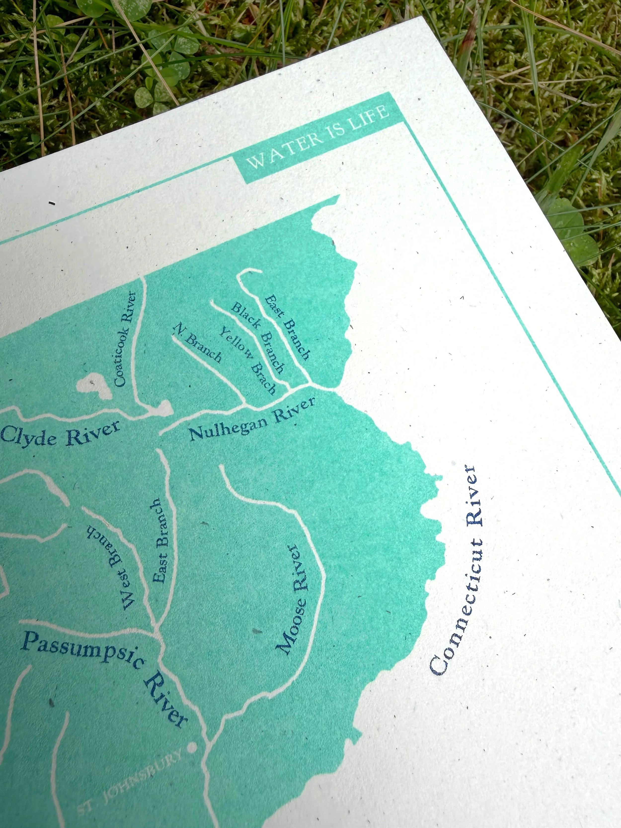 rivers_detail_2.jpg