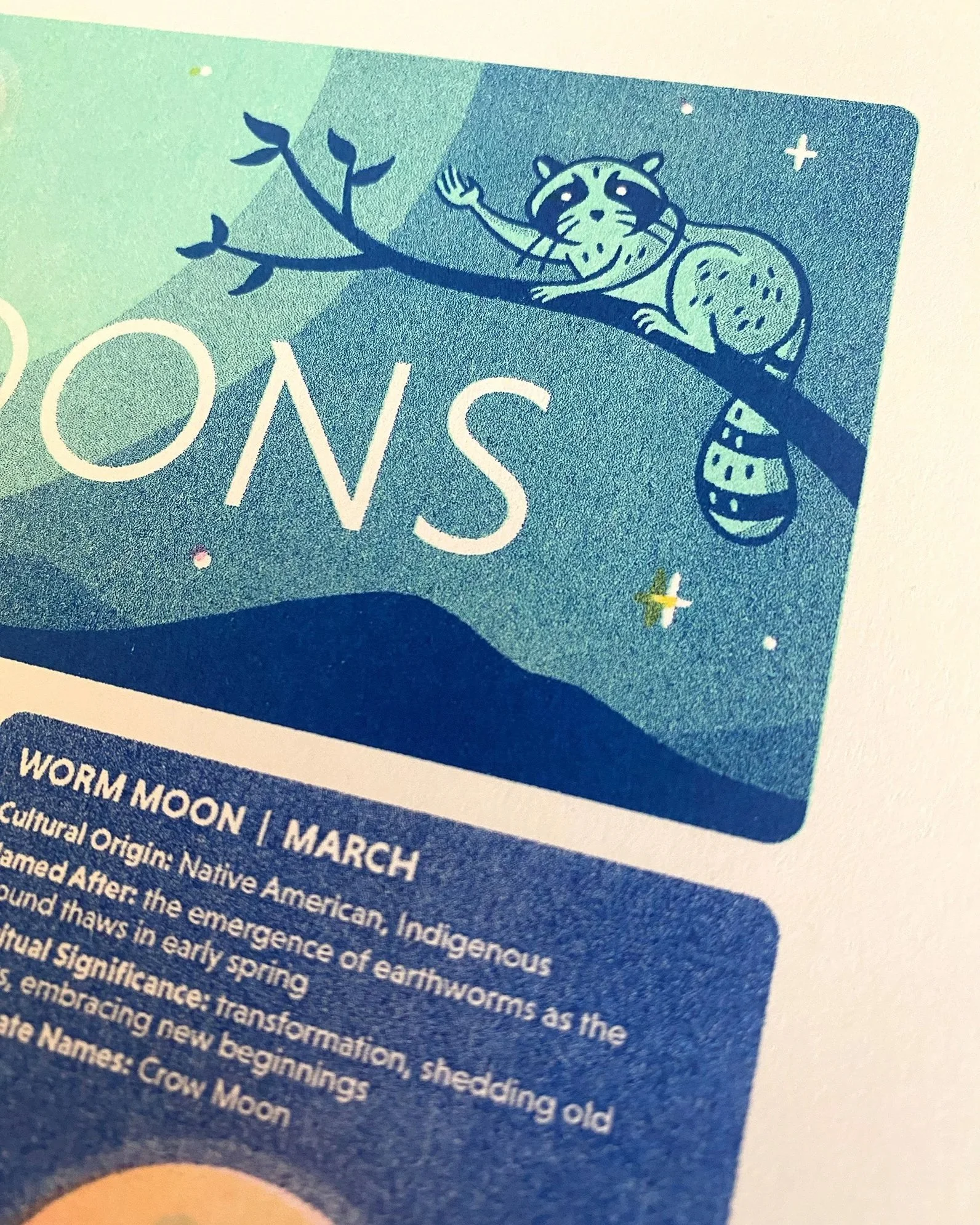 Moon_detail_images2.jpg