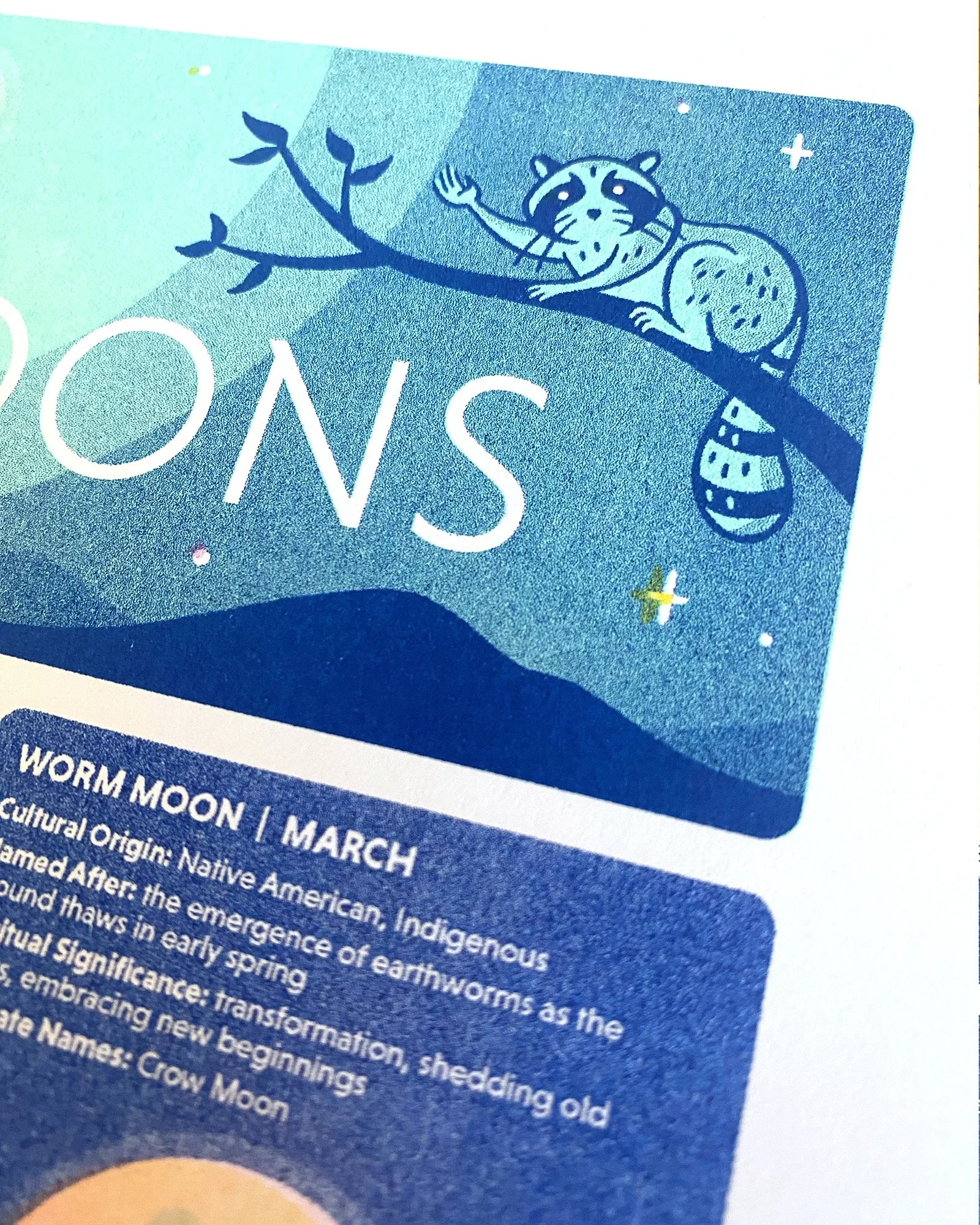 Moon_detail_images2.jpg