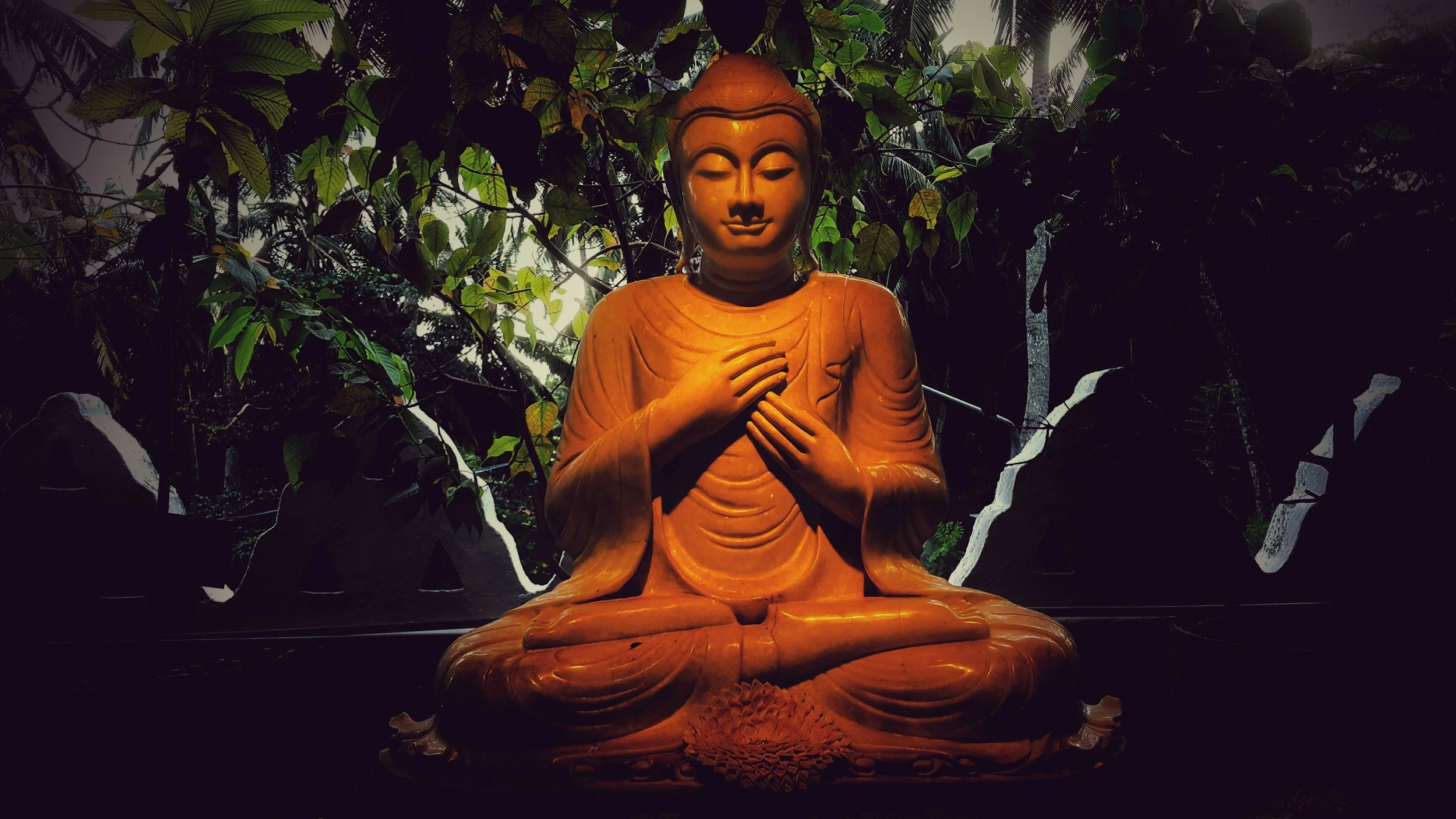 Buddha statue in a meditative pose surrounded by lush greenery.
