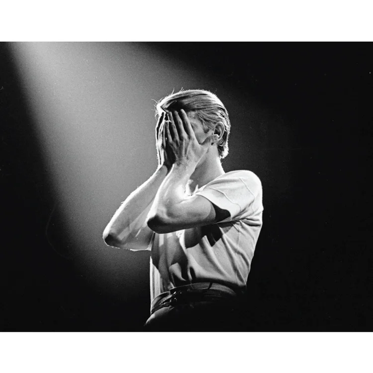 David Bowie by Janet Macoska