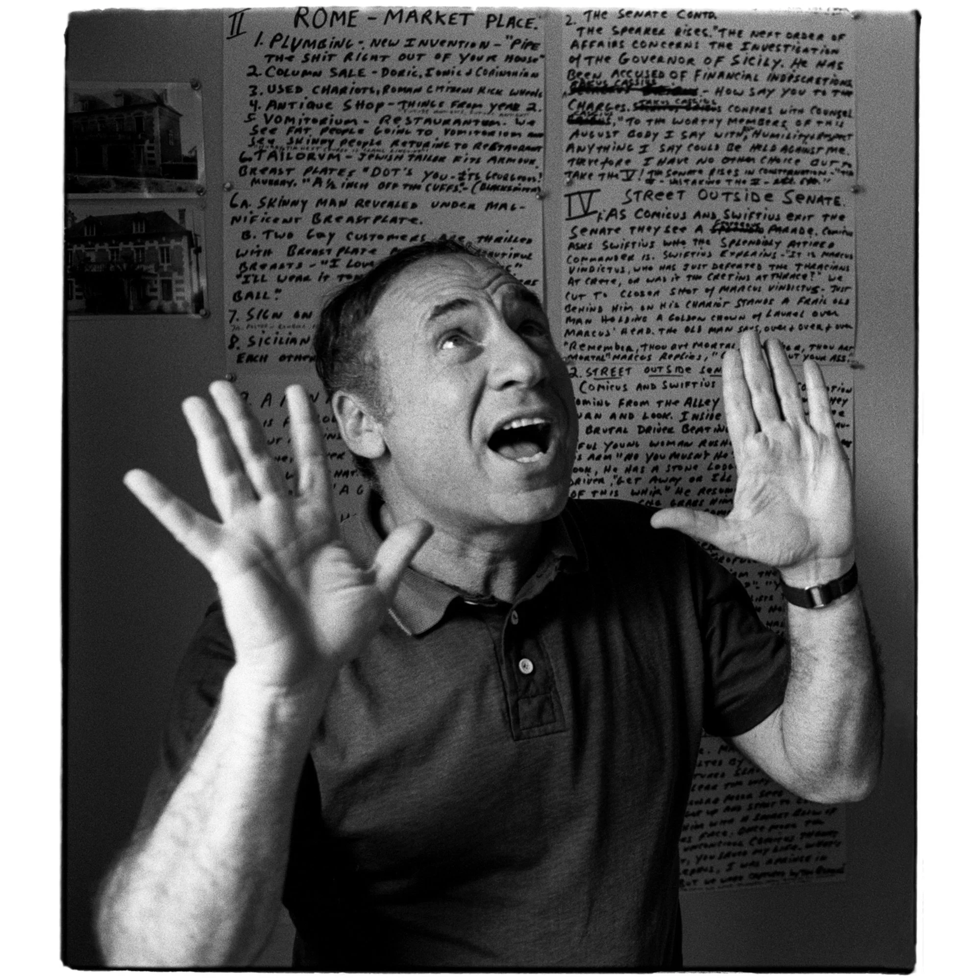 Mel Brooks in LA, Al Satterwhite, 1979