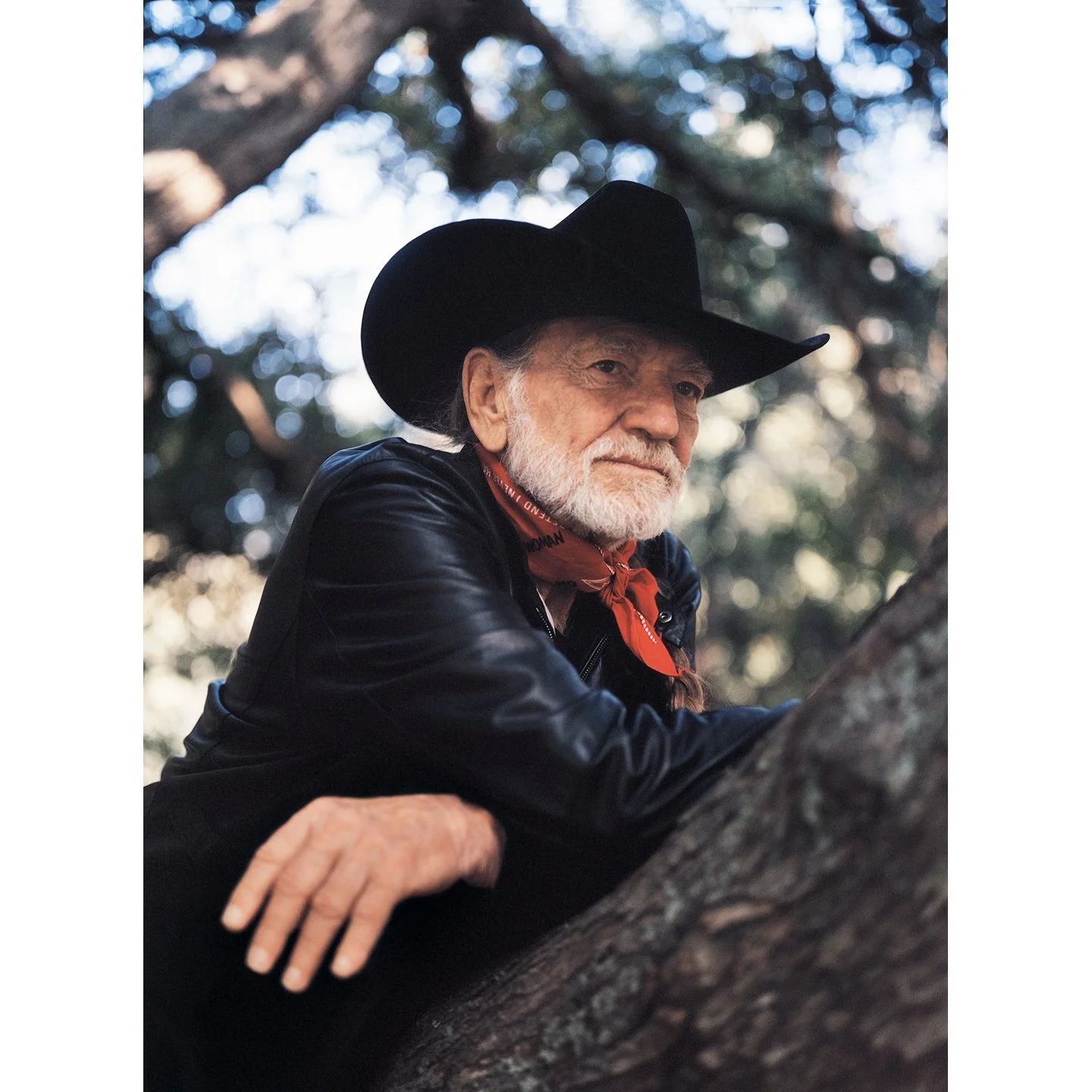 WillieNelson_tree_%C2%A9JimHerrington.jpg