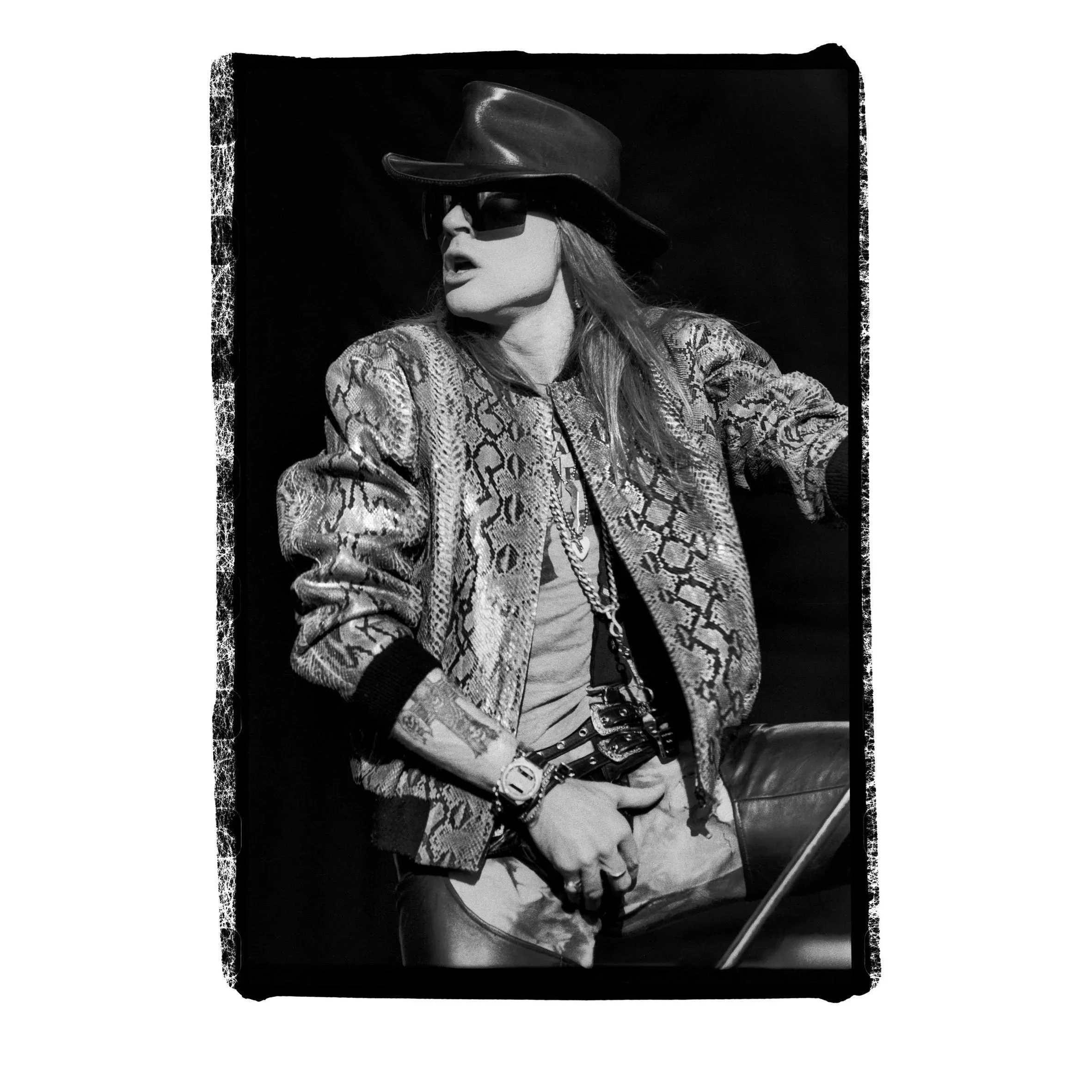 axlroseiantilton.webp