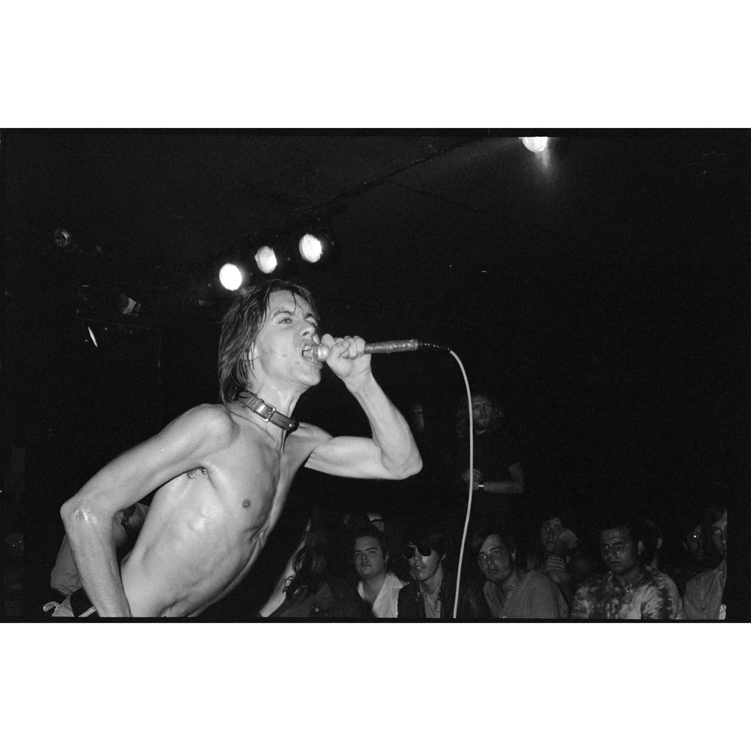 iggy-live+69.webp