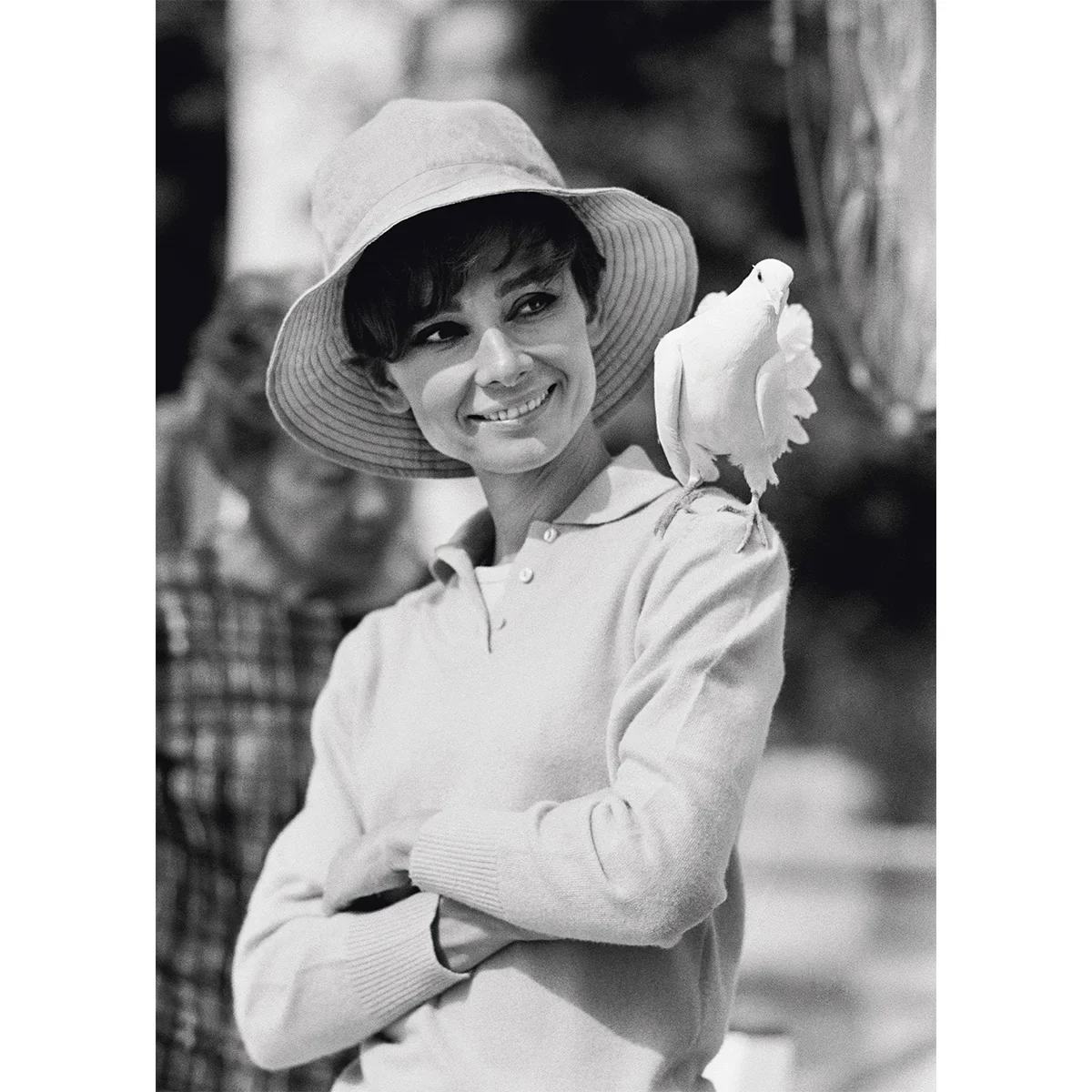 Audrey_Hepburn_dove.webp
