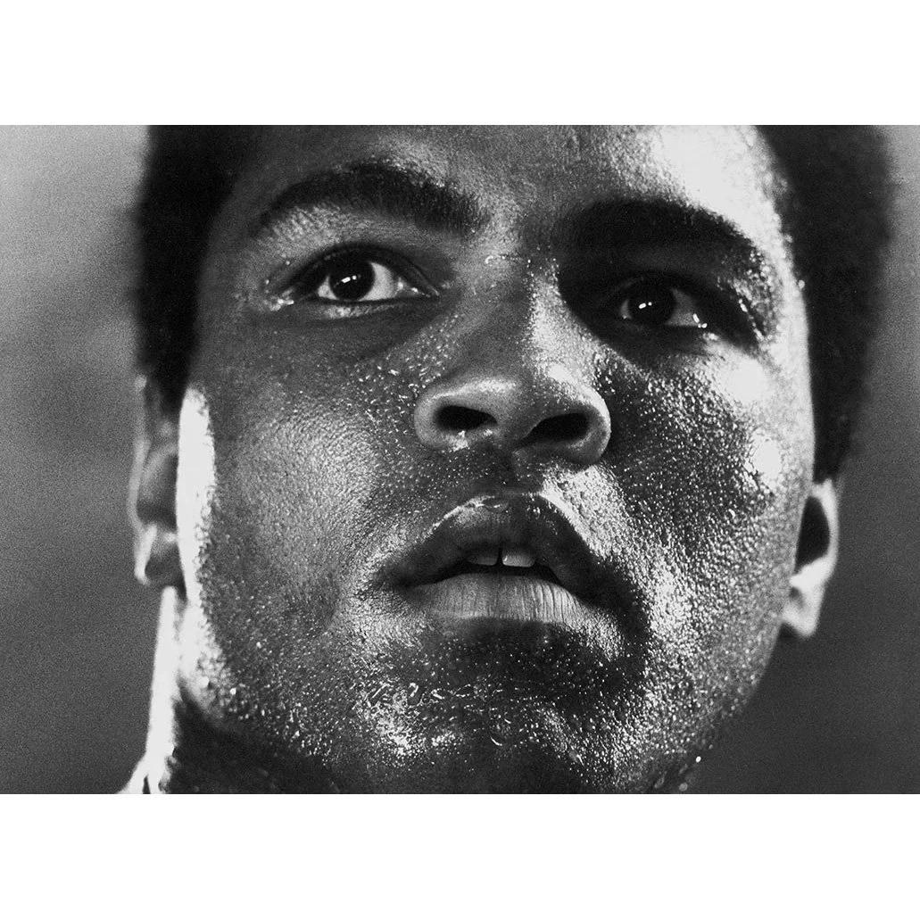 Muhammad Ali by Michael Brennan