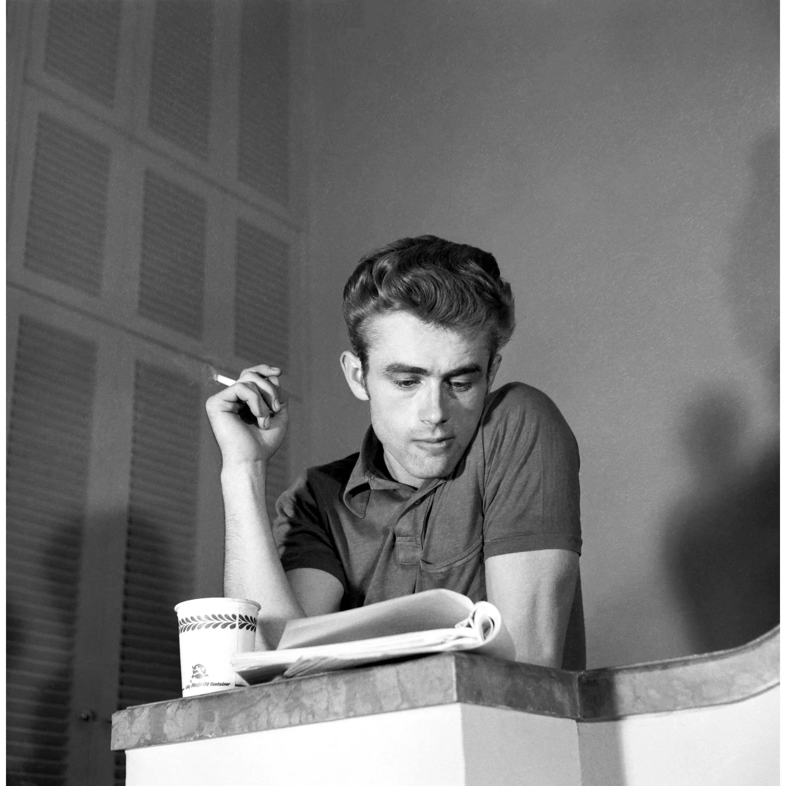 James Dean by Lawrence Fried