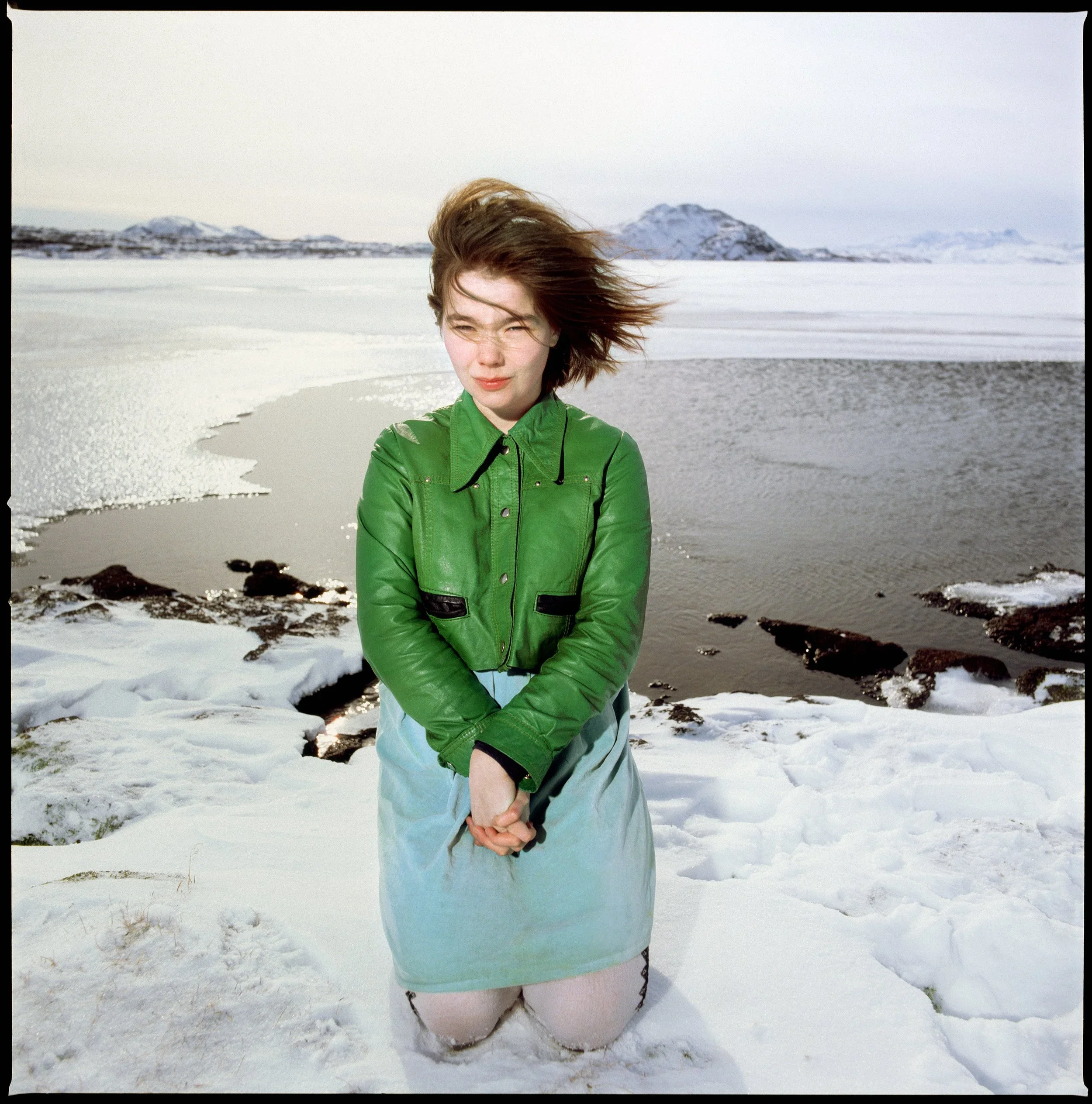 Bjork.webp