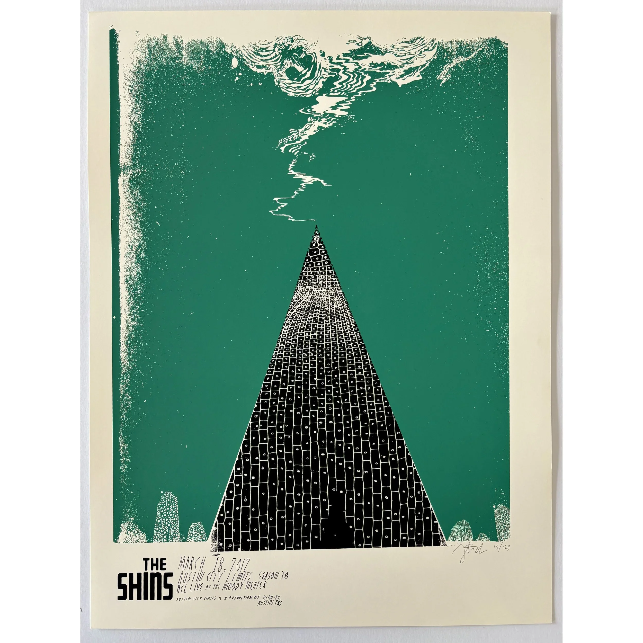 shins+acl+poster.webp