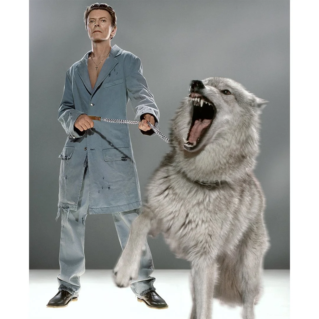 David Bowie "The Protector" by Markus Klinko.