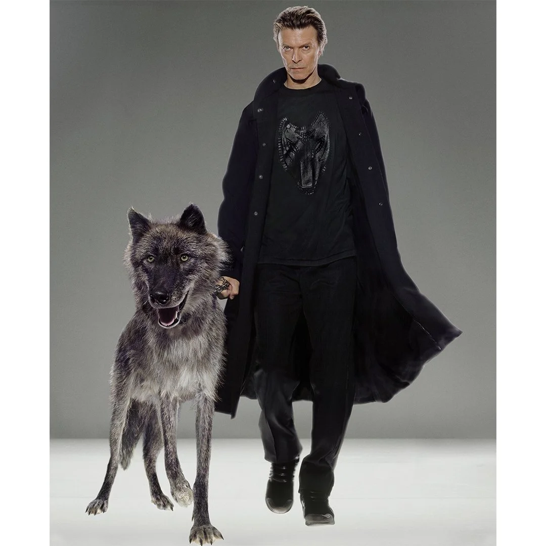 David Bowie "Natural Villains" by Markus Klinko.
