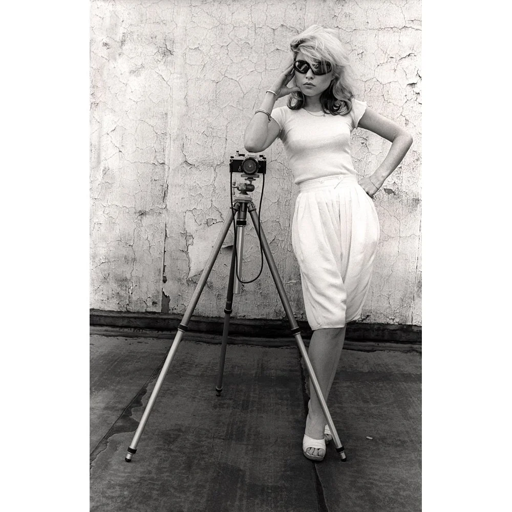 Blondie on the Roof by Martyn Goddard