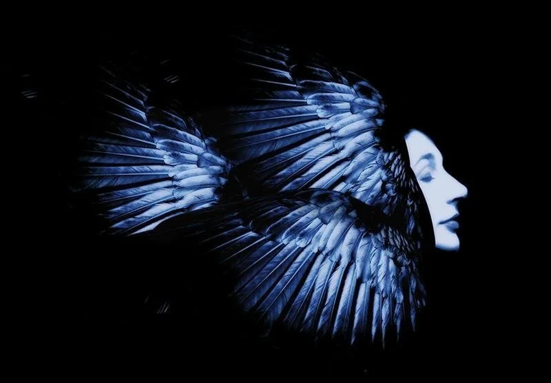 Kate Bush BIRDFISH by Guido Harari