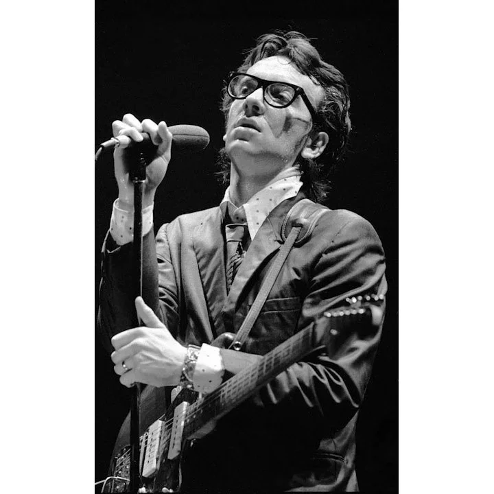 Elvis Costello This Year's Model by Patrick Harbron