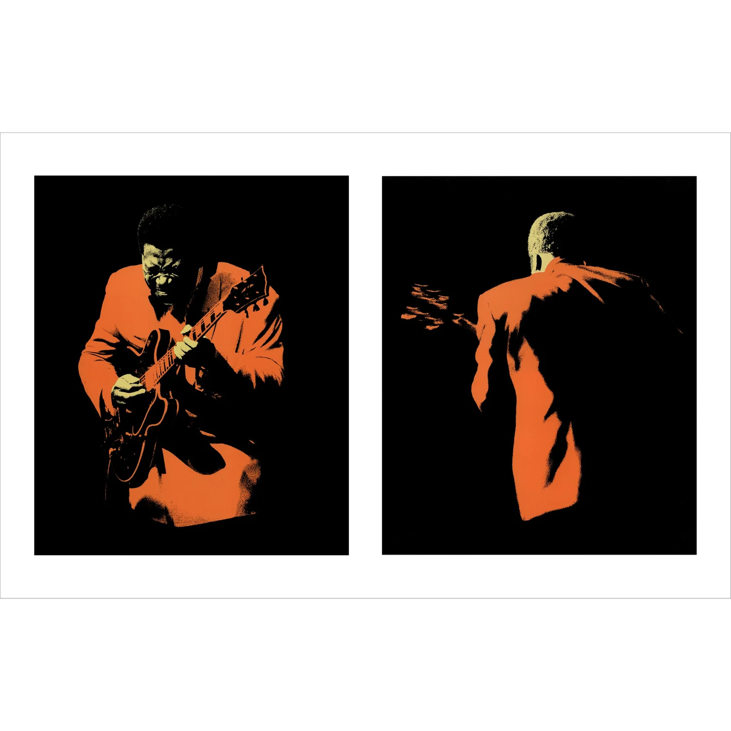 BB King "Live in Japan" Montage by Glen Craig