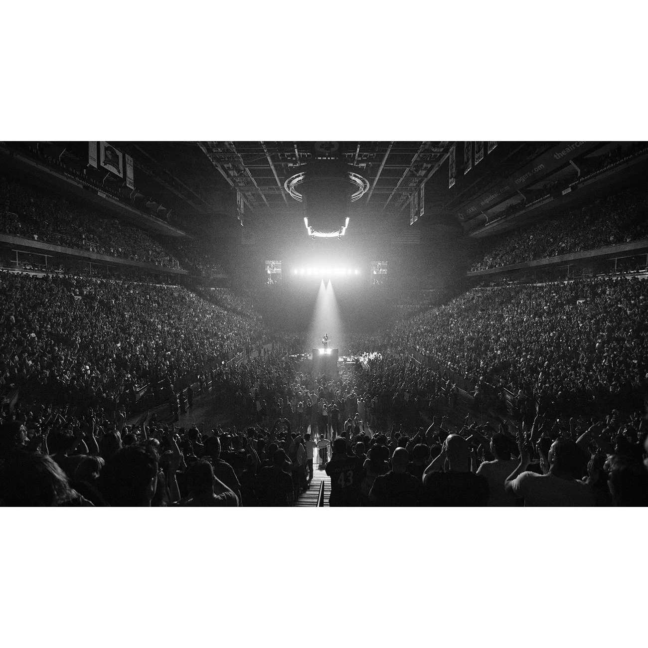 Foo Fighters by Dustin Rabin