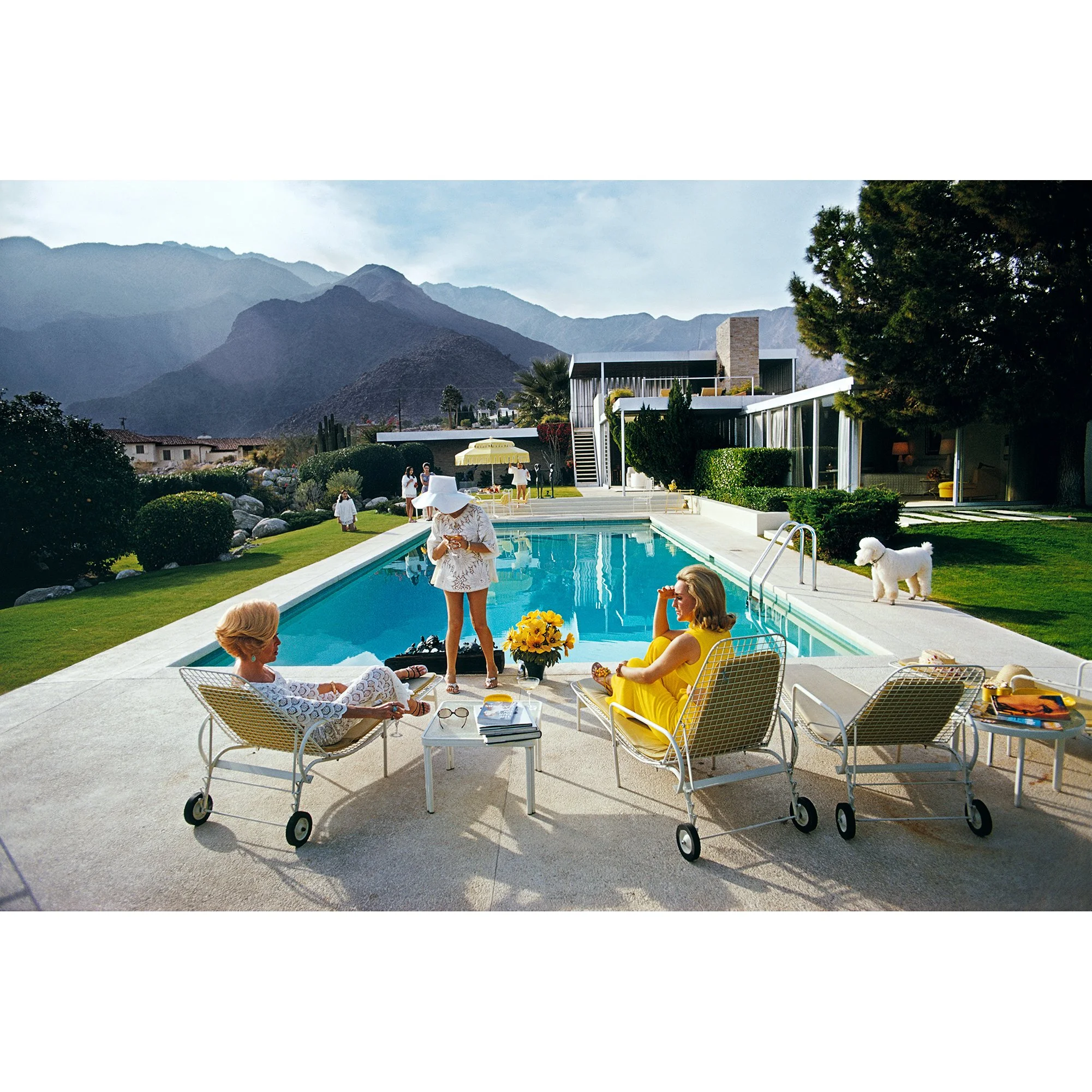 Poolside Poodle by Slim Aarons