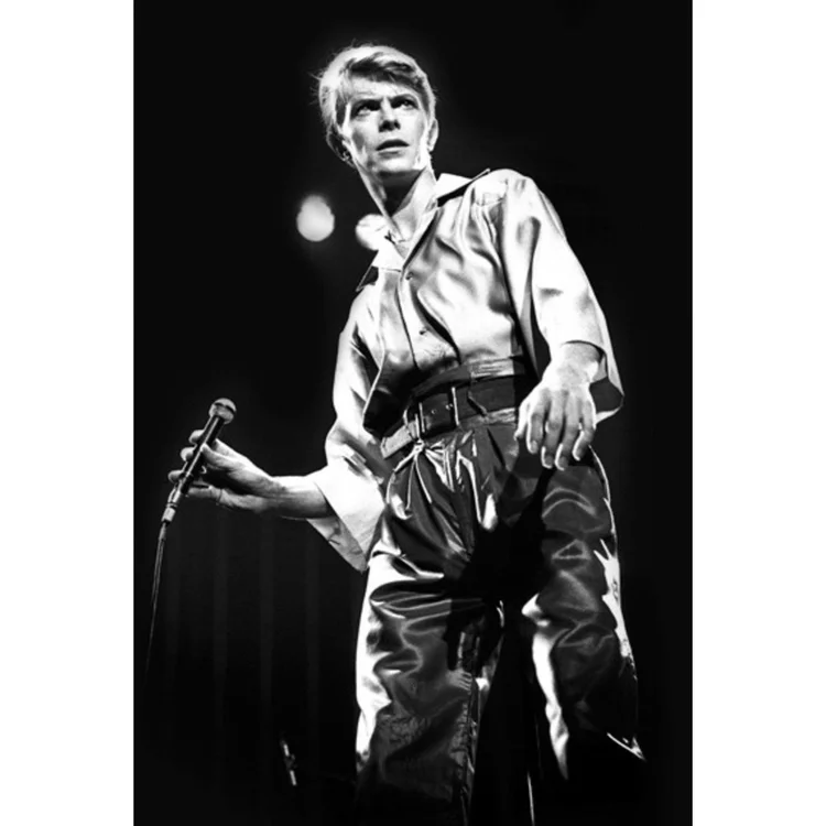 DAVID BOWIE NEWCASTLE CITY HALL, 1978 by Dennis O'Regan 16x20" print
